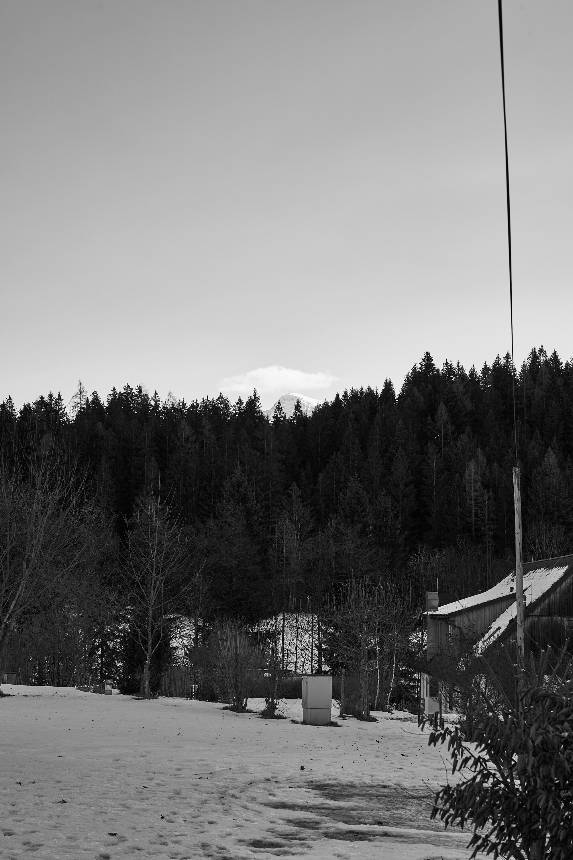 LEICA M11 Monochrom L1003334
