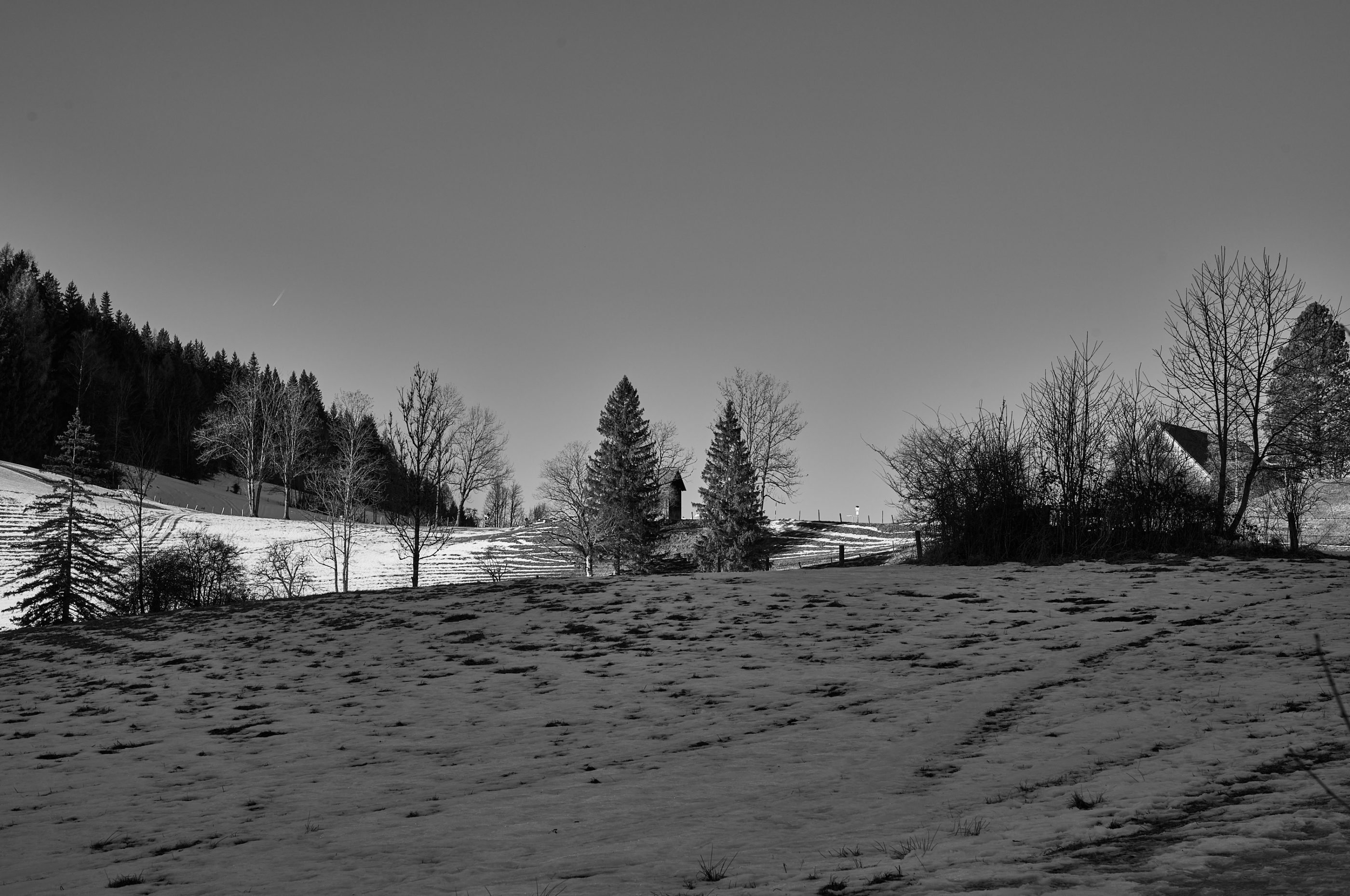 LEICA M11 Monochrom L1003337