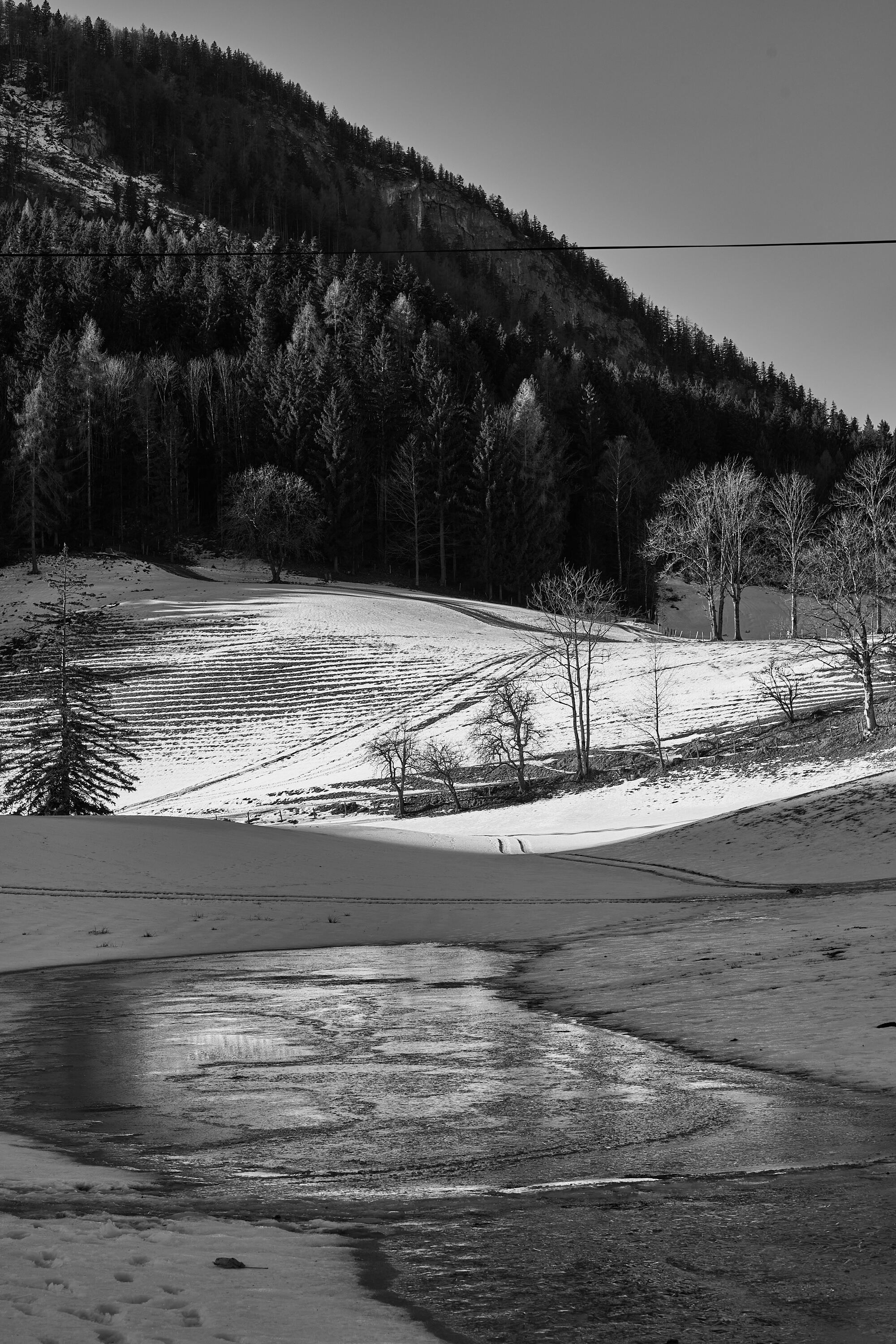LEICA M11 Monochrom L1003339