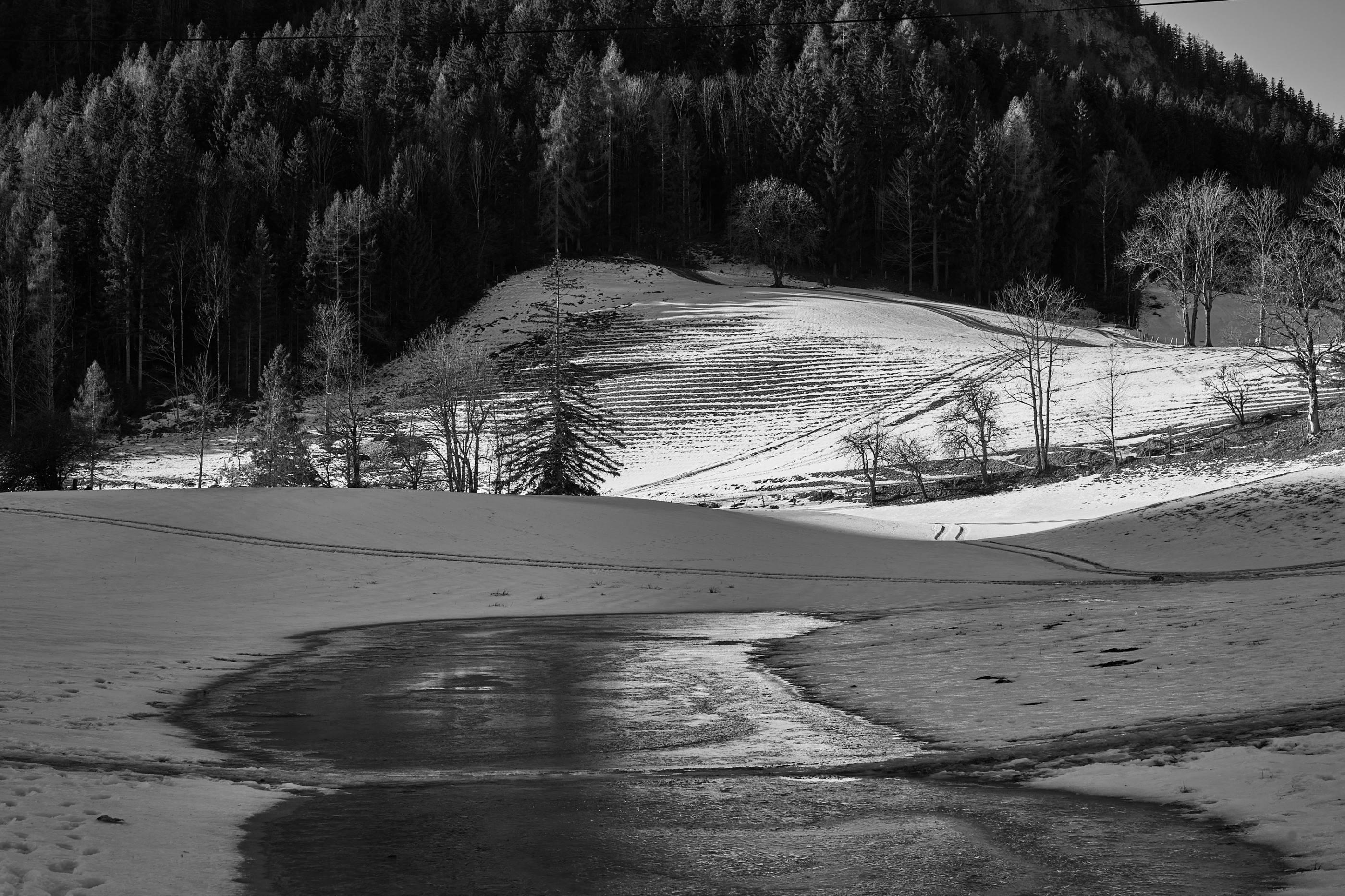 LEICA M11 Monochrom L1003342