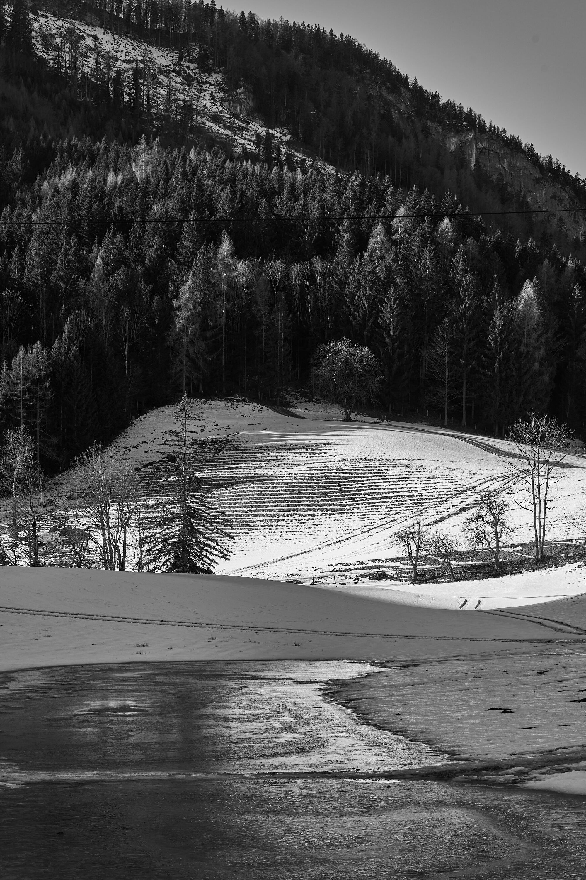 LEICA M11 Monochrom L1003343