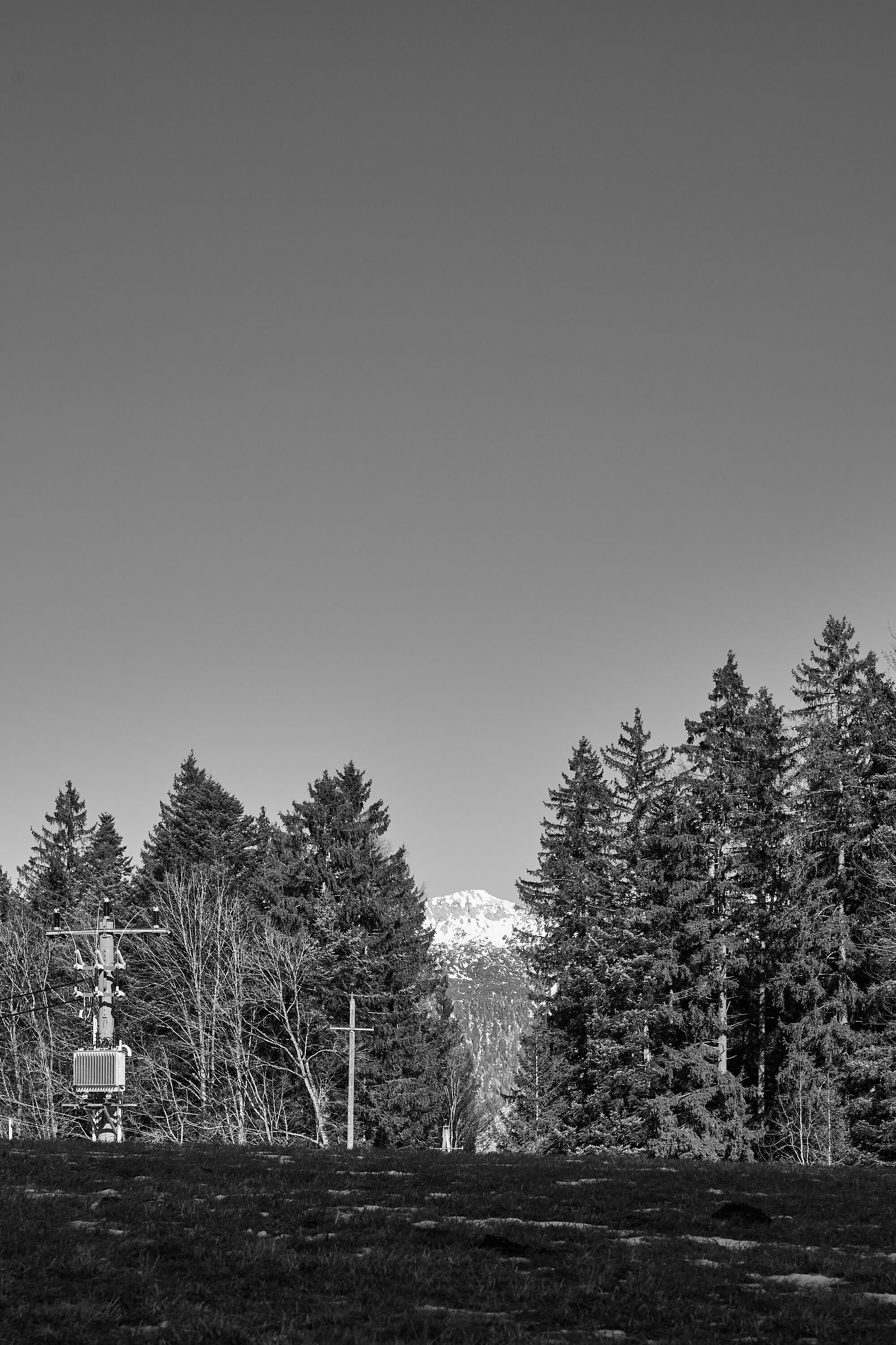 LEICA M11 Monochrom L1003345