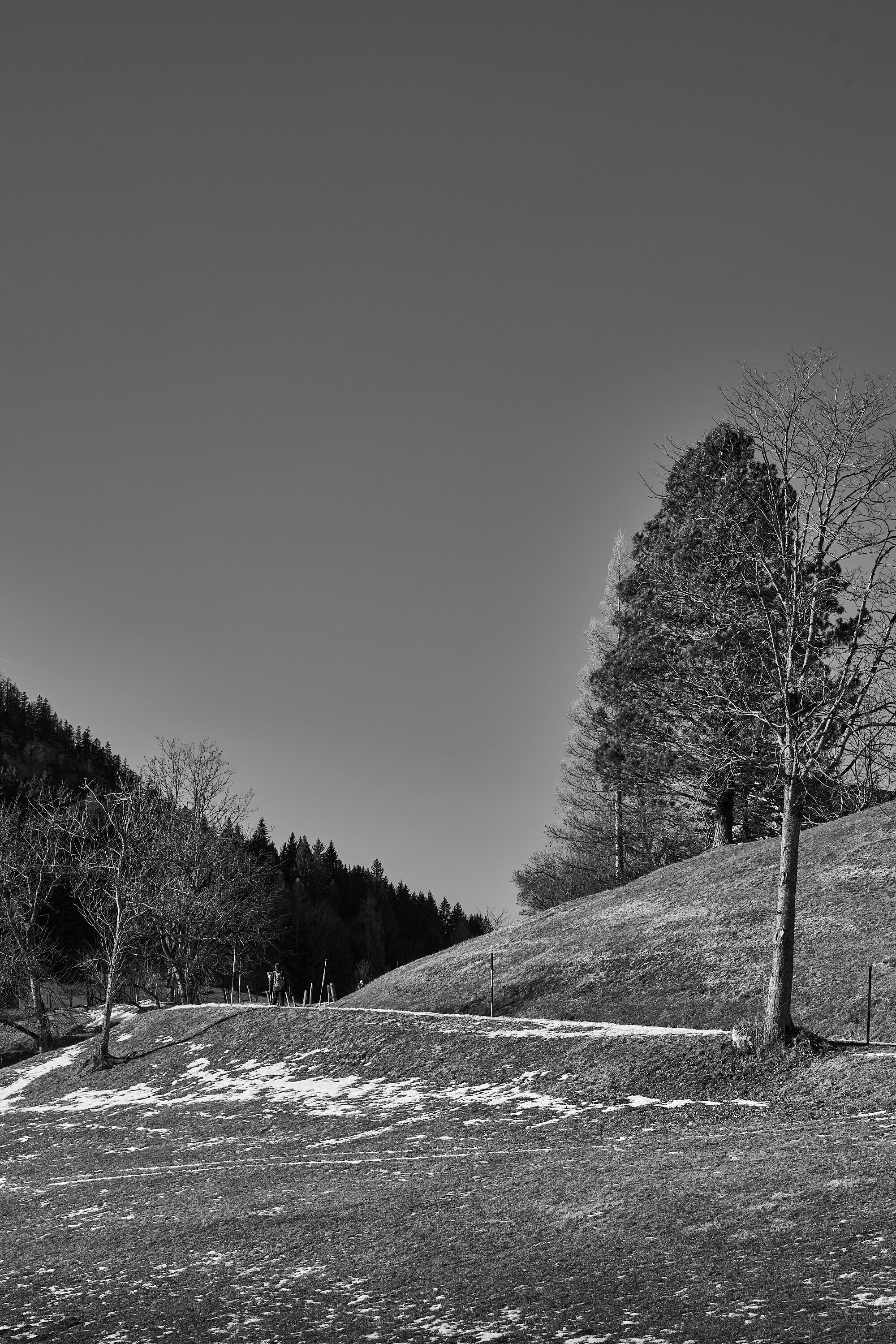LEICA M11 Monochrom L1003349