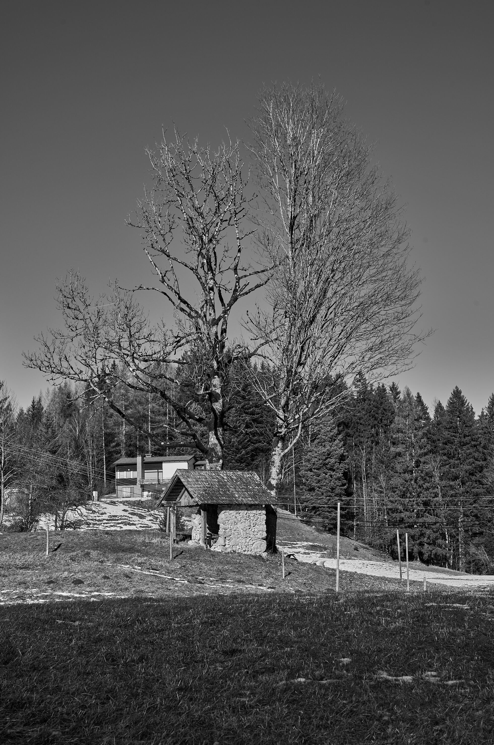 LEICA M11 Monochrom L1003351
