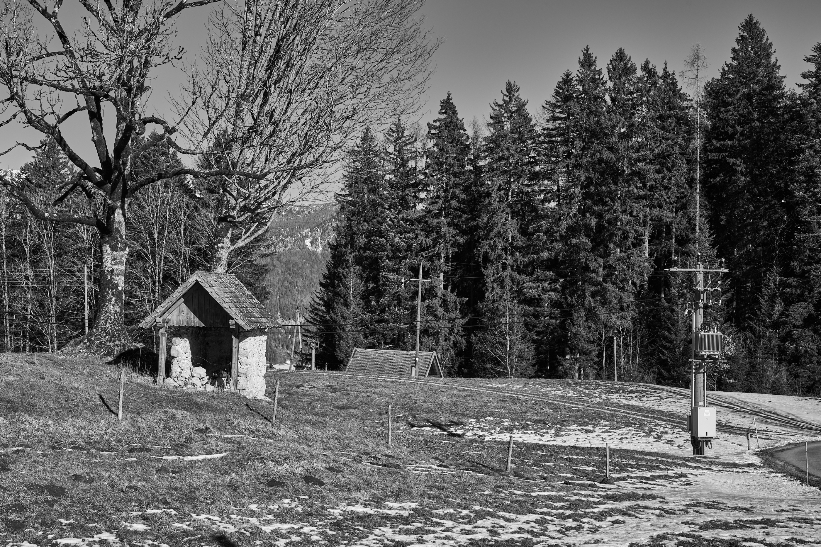 LEICA M11 Monochrom L1003354
