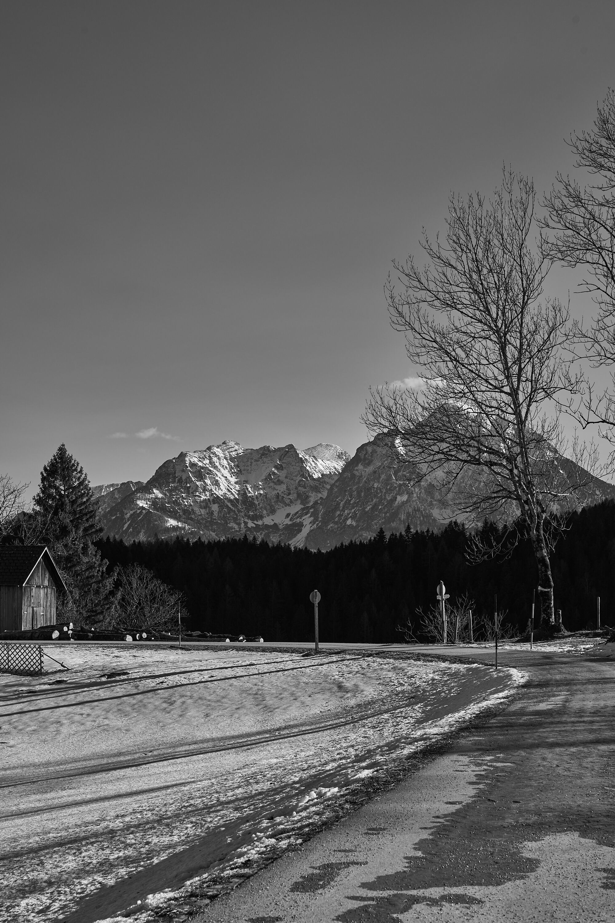 LEICA M11 Monochrom L1003358