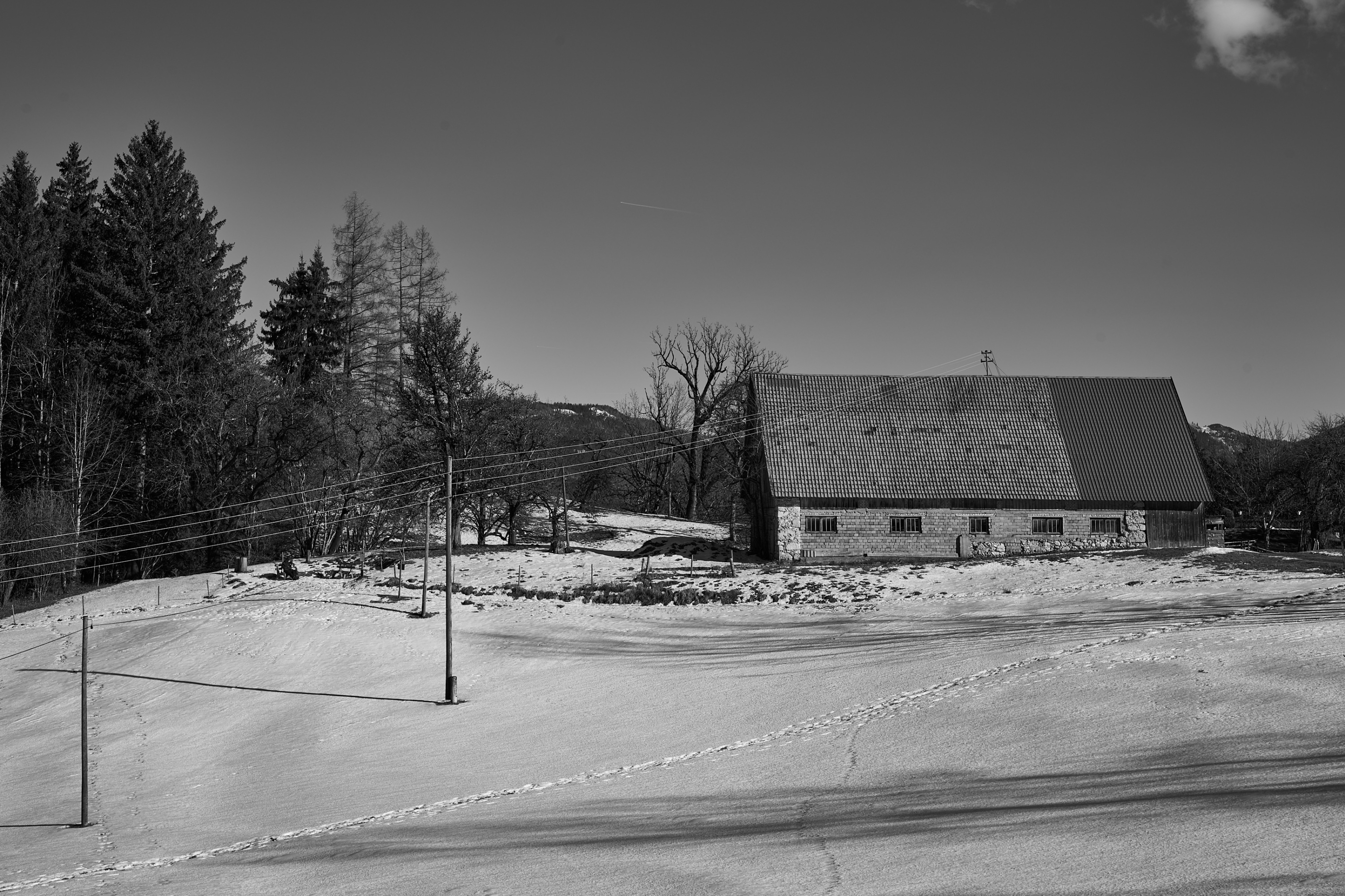 LEICA M11 Monochrom L1003359