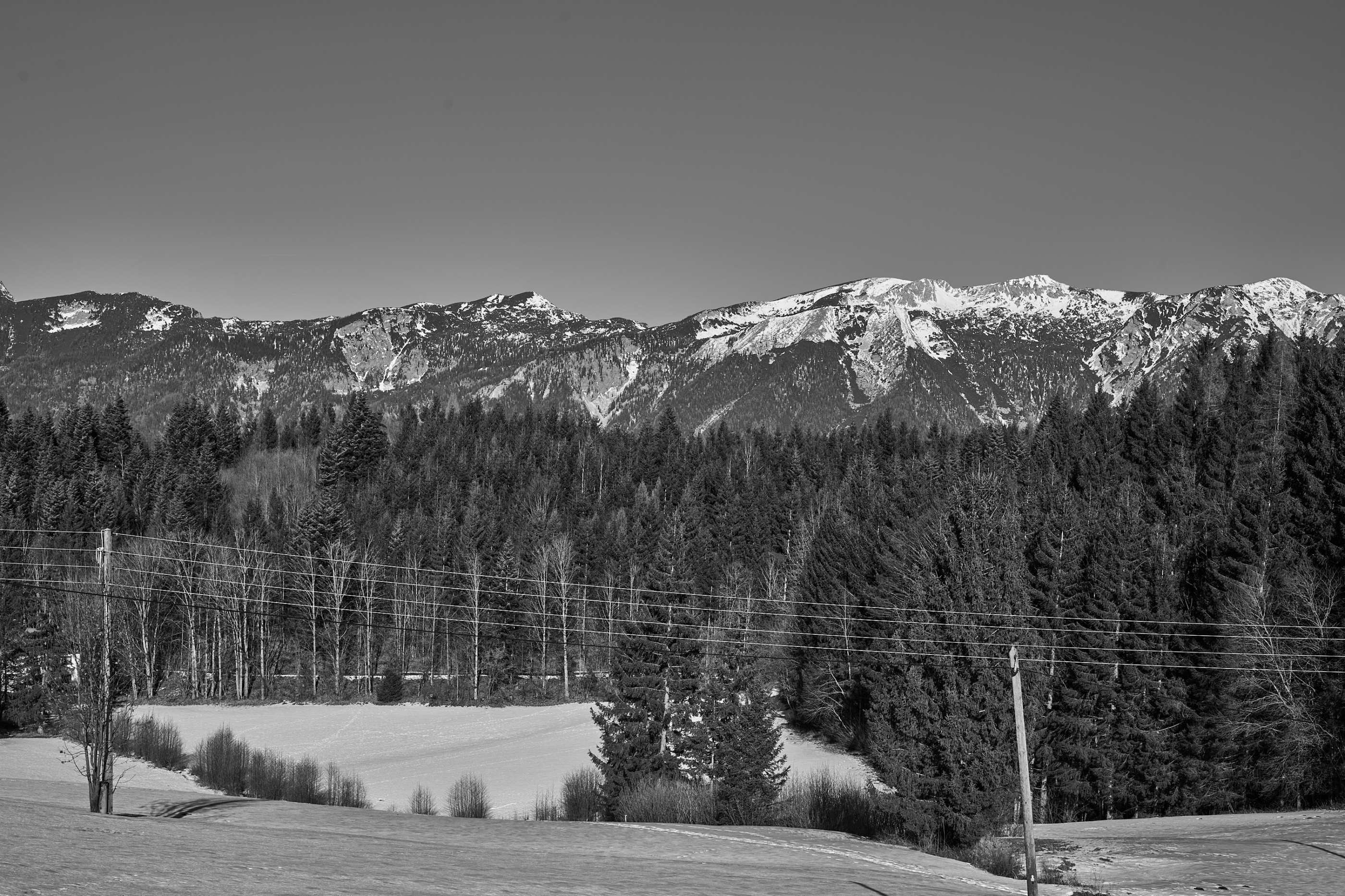 LEICA M11 Monochrom L1003360