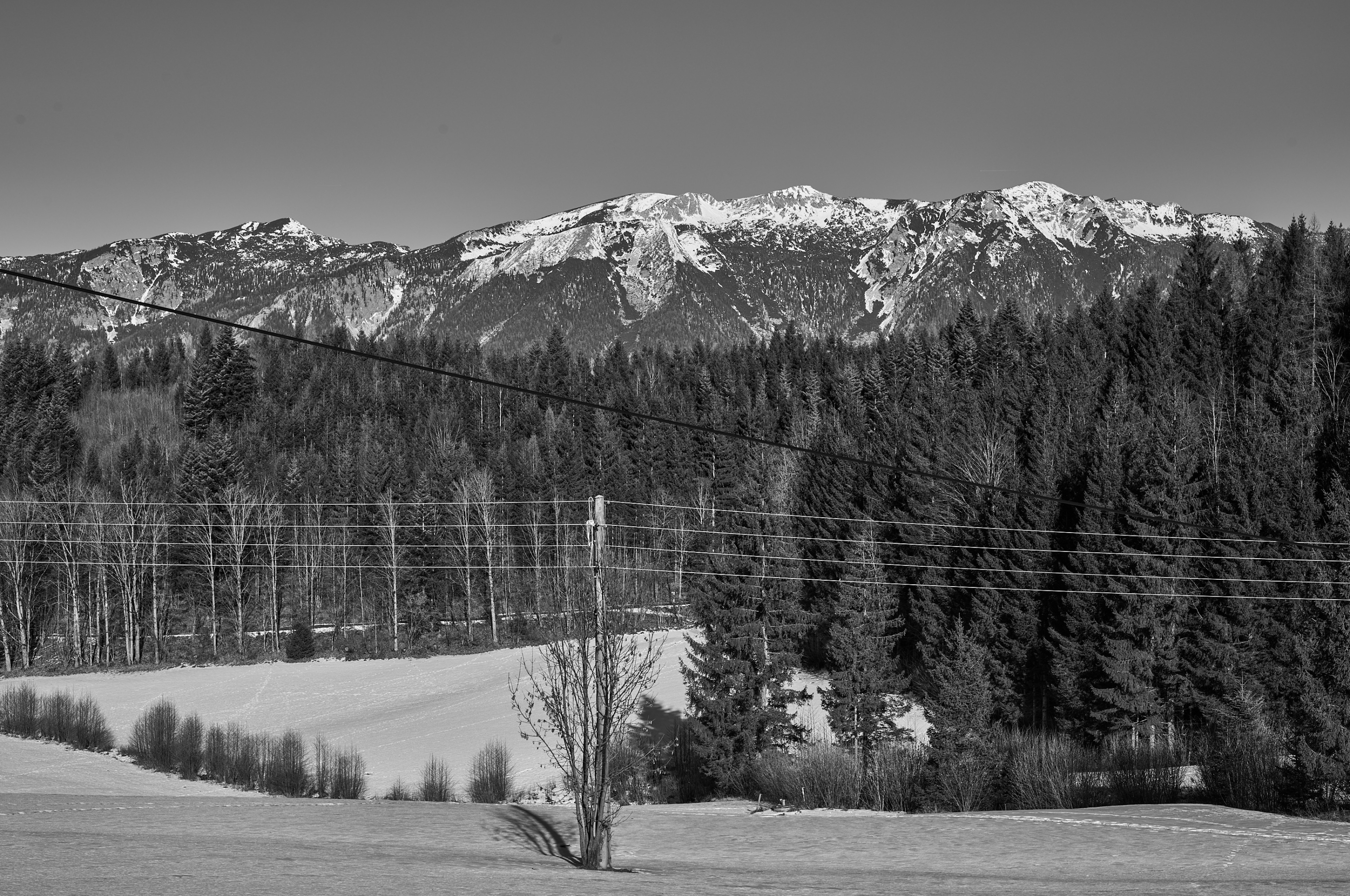 LEICA M11 Monochrom L1003362