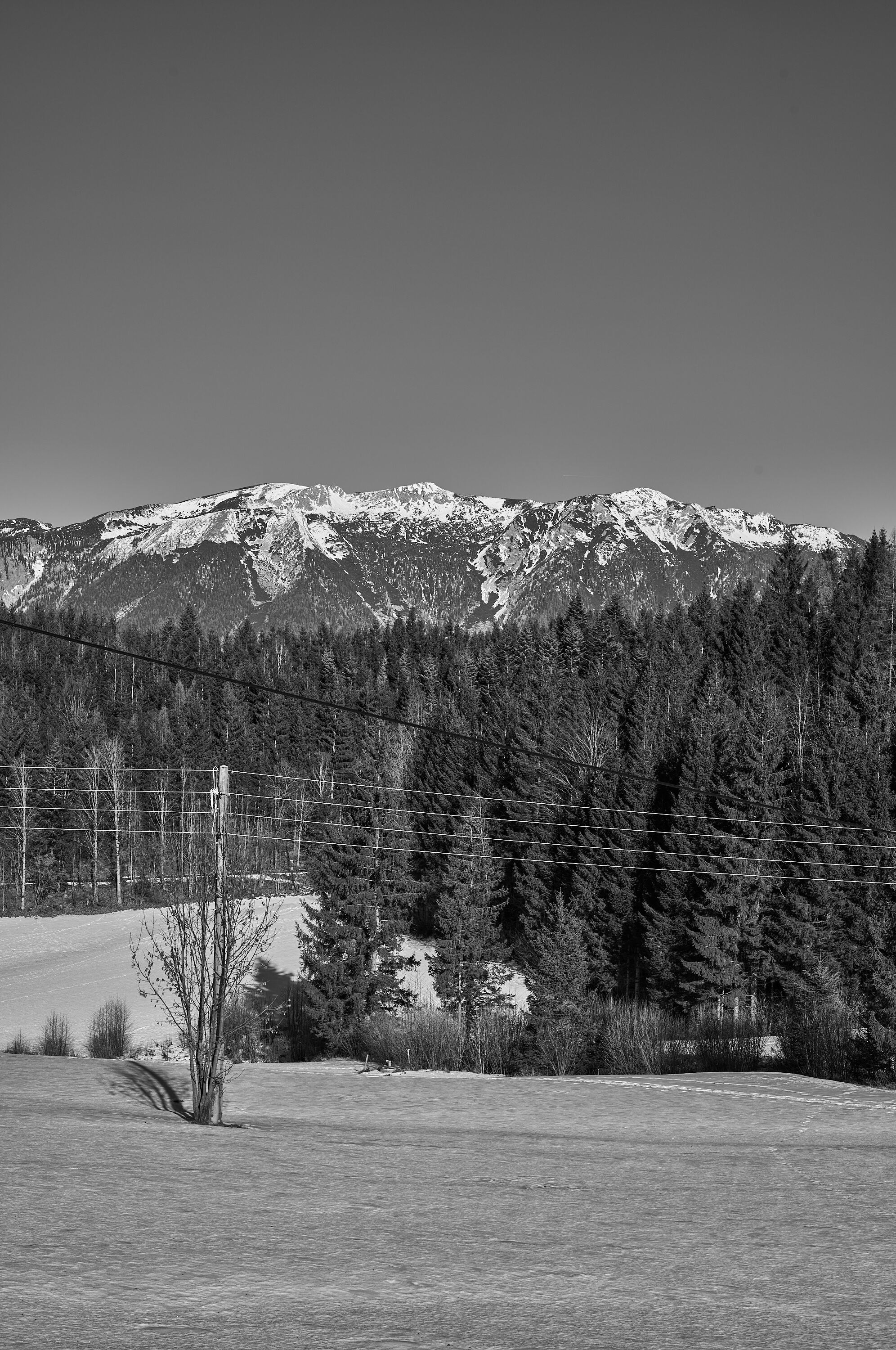 LEICA M11 Monochrom L1003363