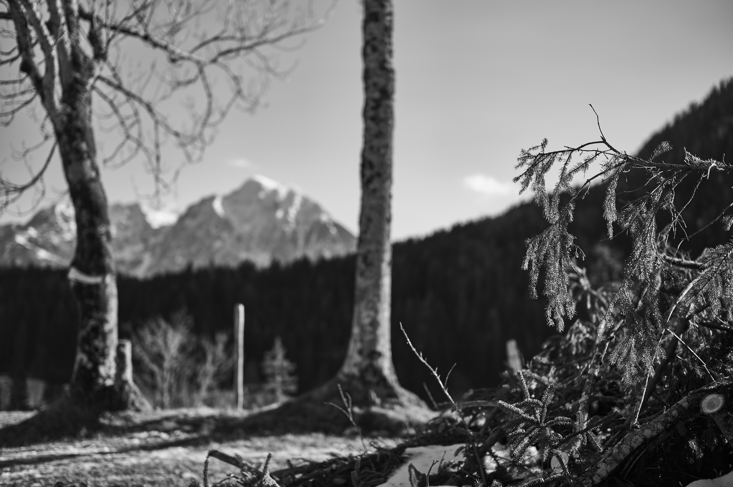 LEICA M11 Monochrom L1003367