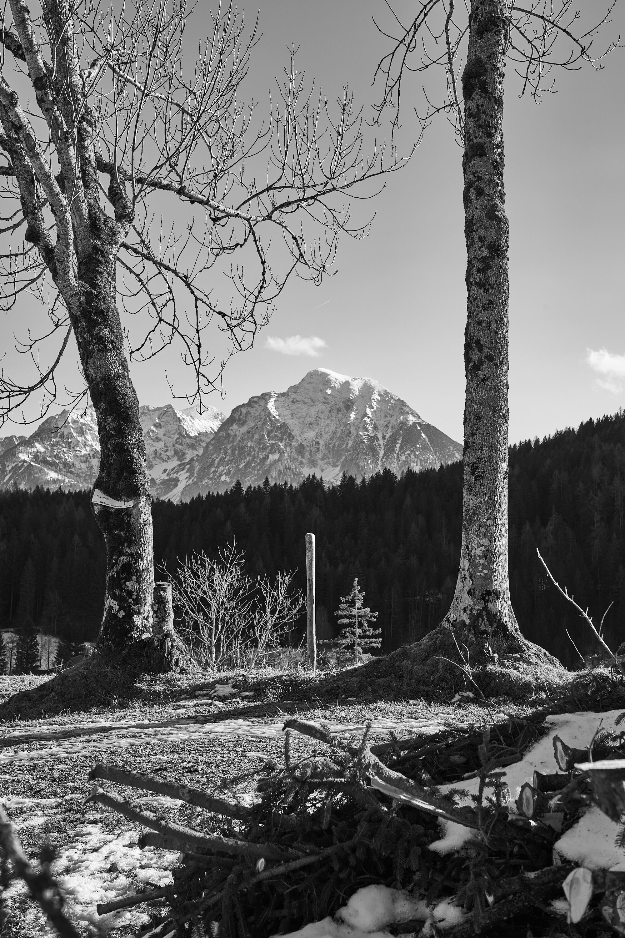 LEICA M11 Monochrom L1003368