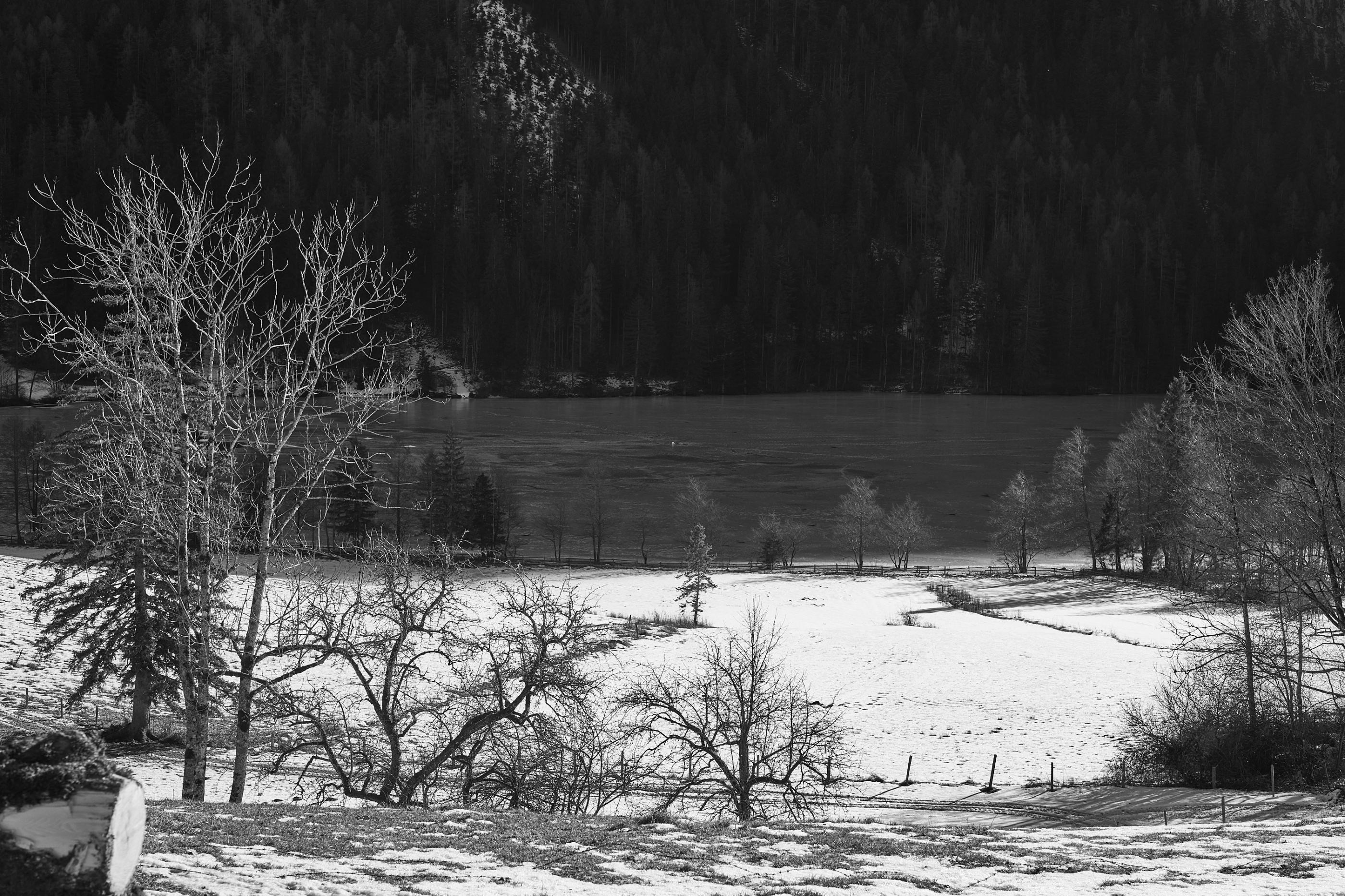 LEICA M11 Monochrom L1003372