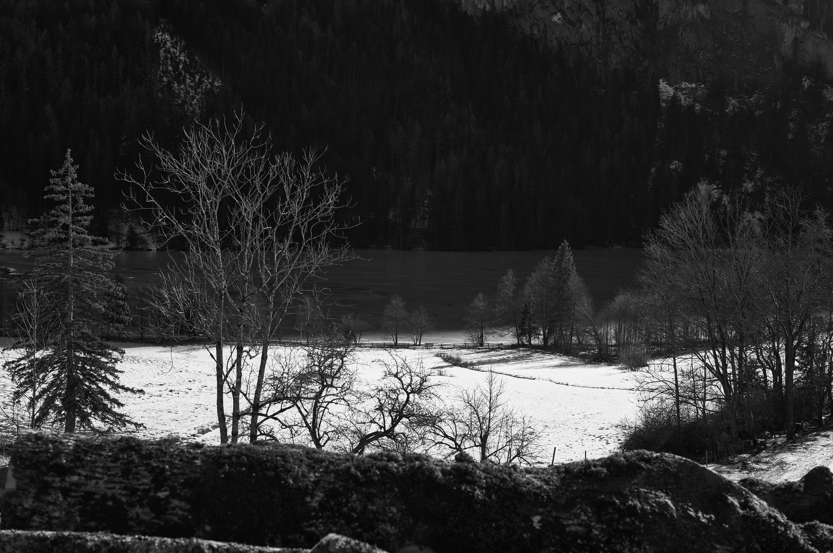 LEICA M11 Monochrom L1003376