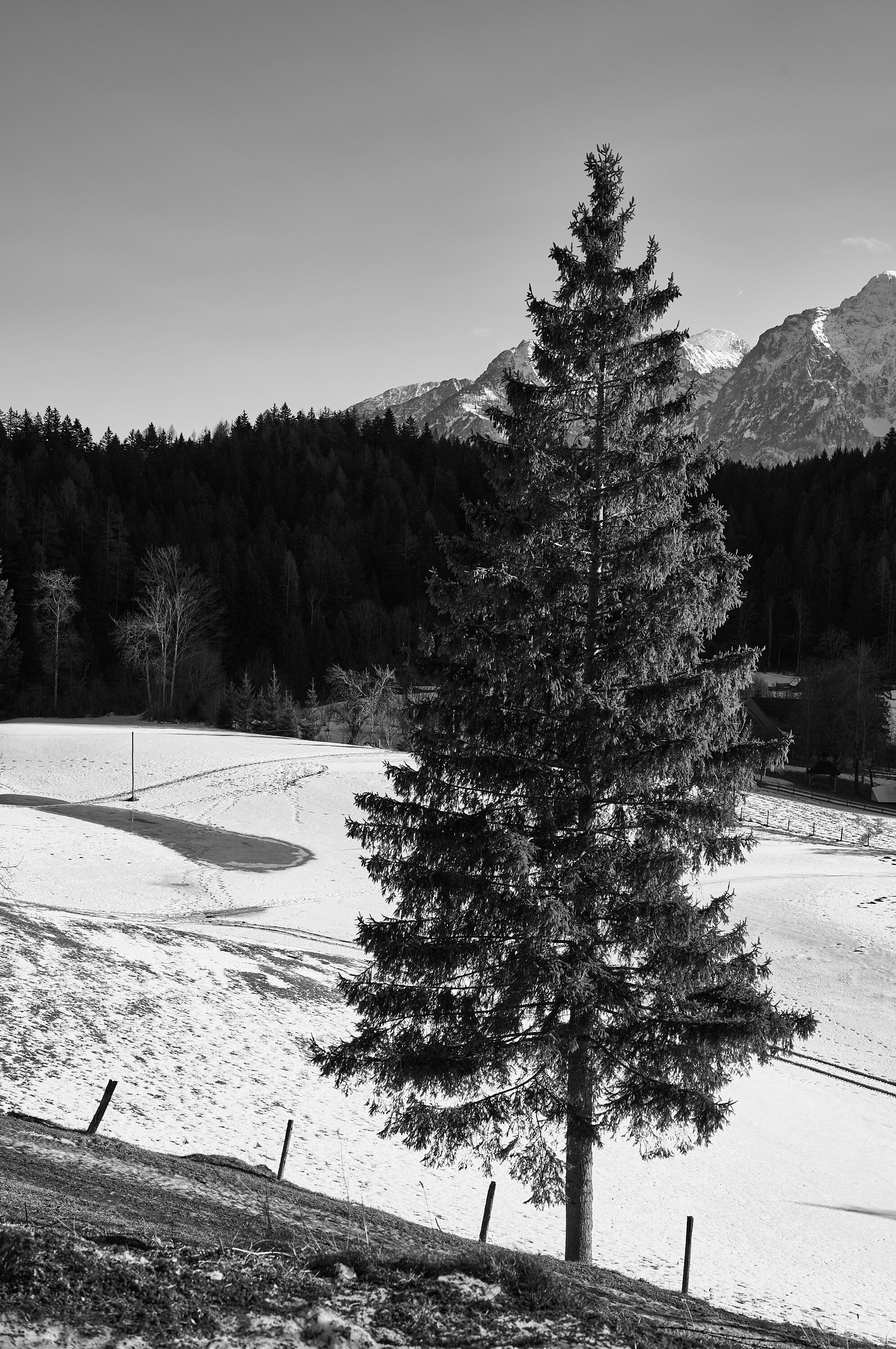 LEICA M11 Monochrom L1003380
