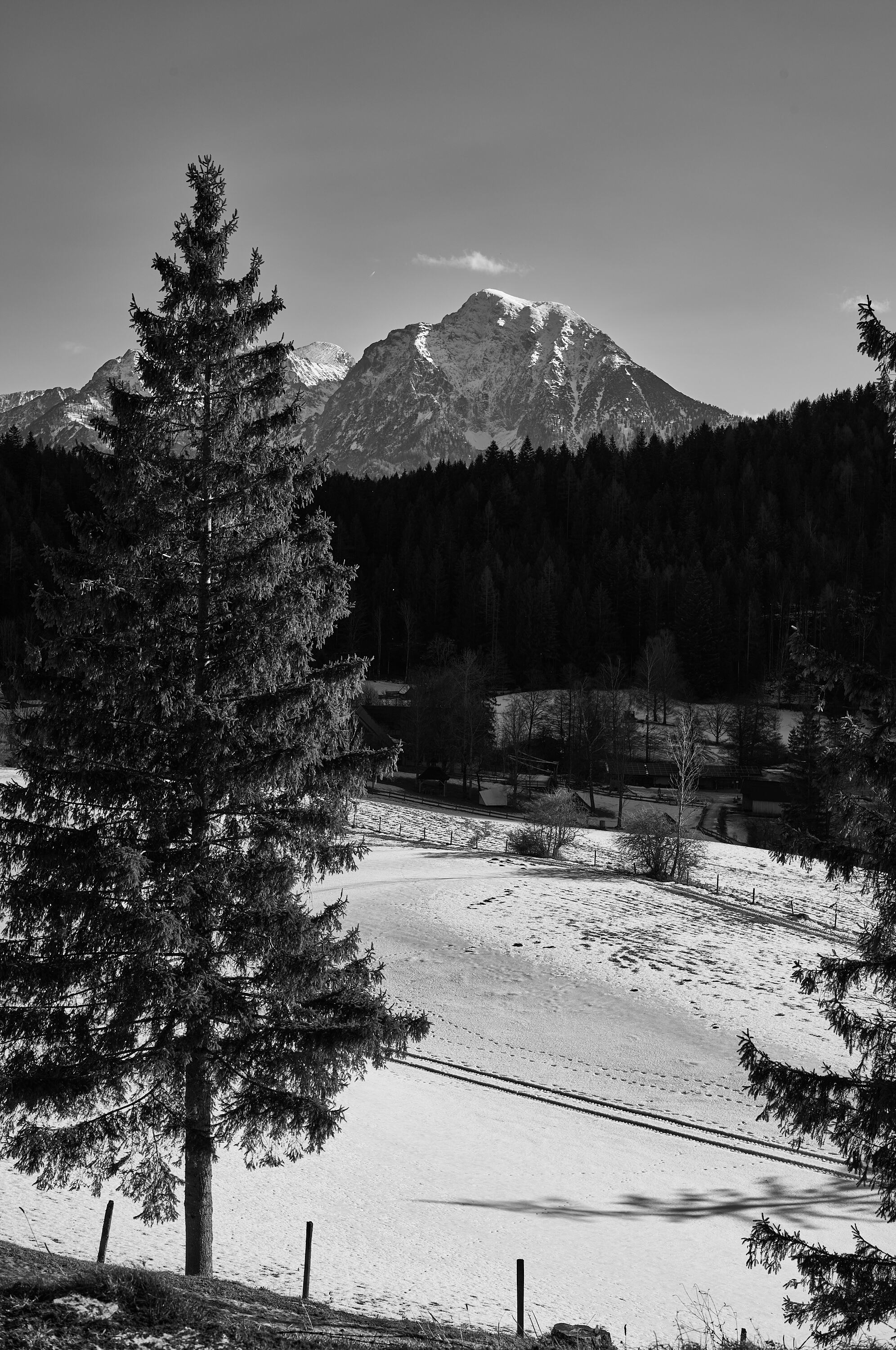 LEICA M11 Monochrom L1003381
