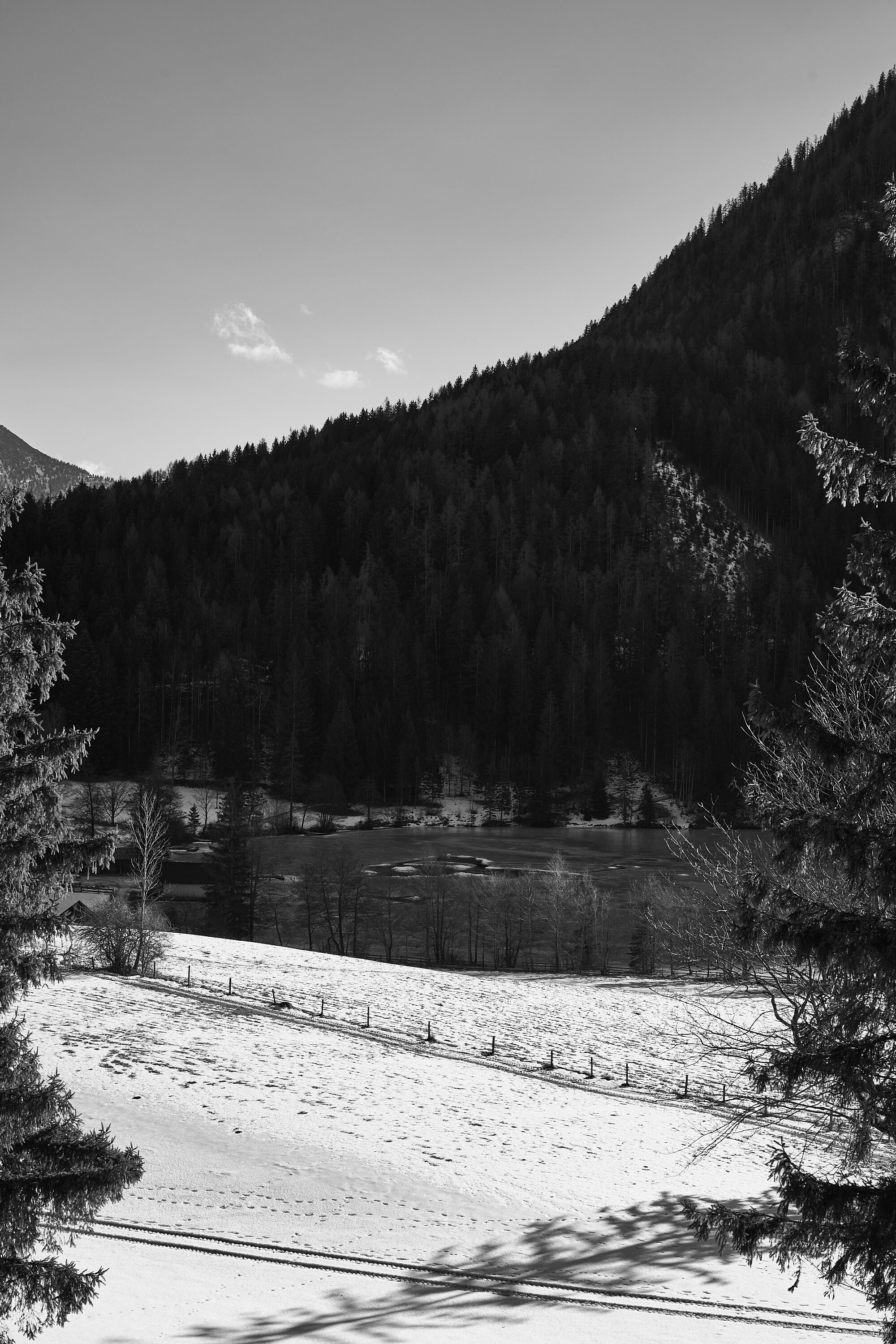 LEICA M11 Monochrom L1003383