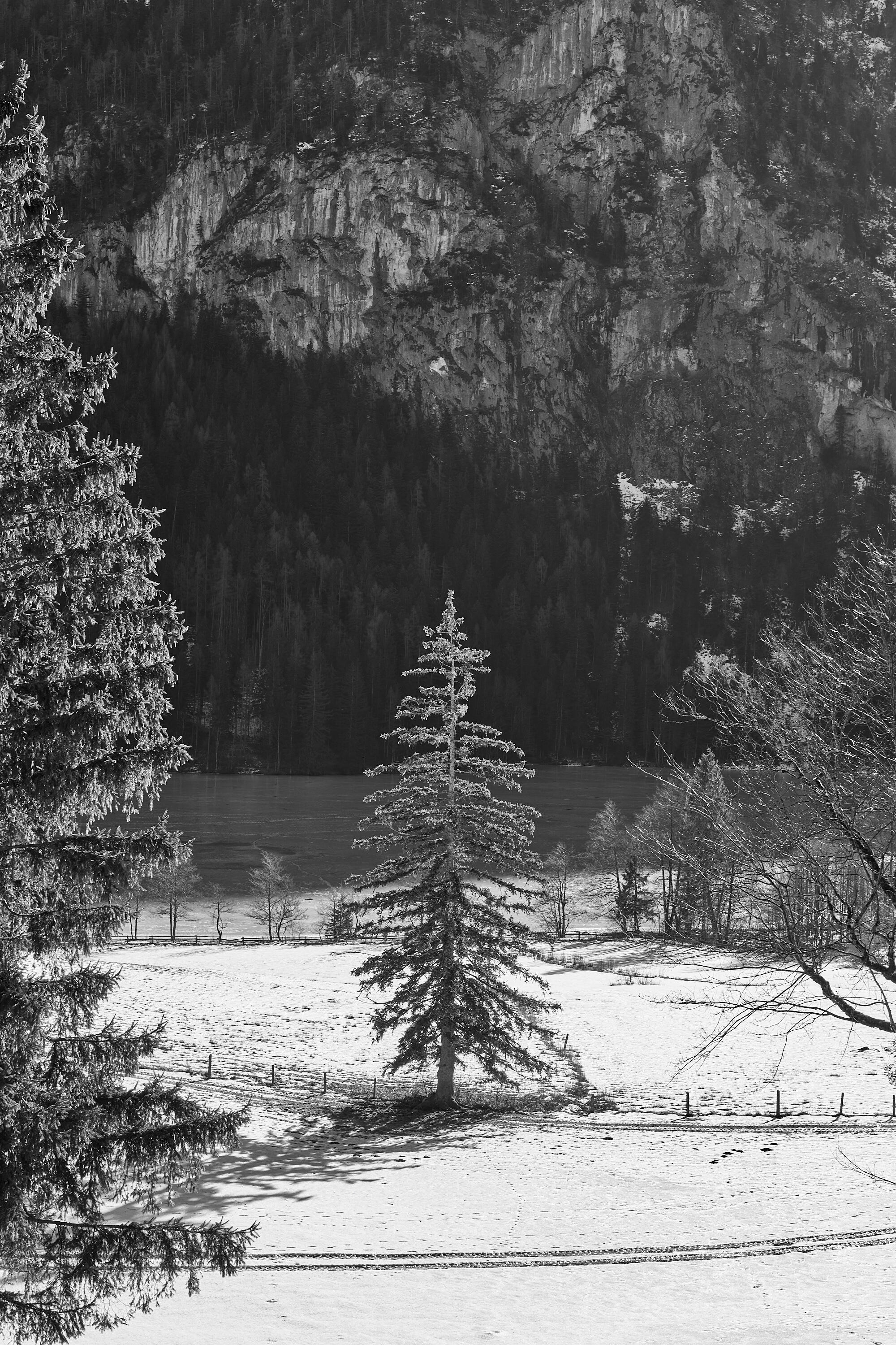 LEICA M11 Monochrom L1003384