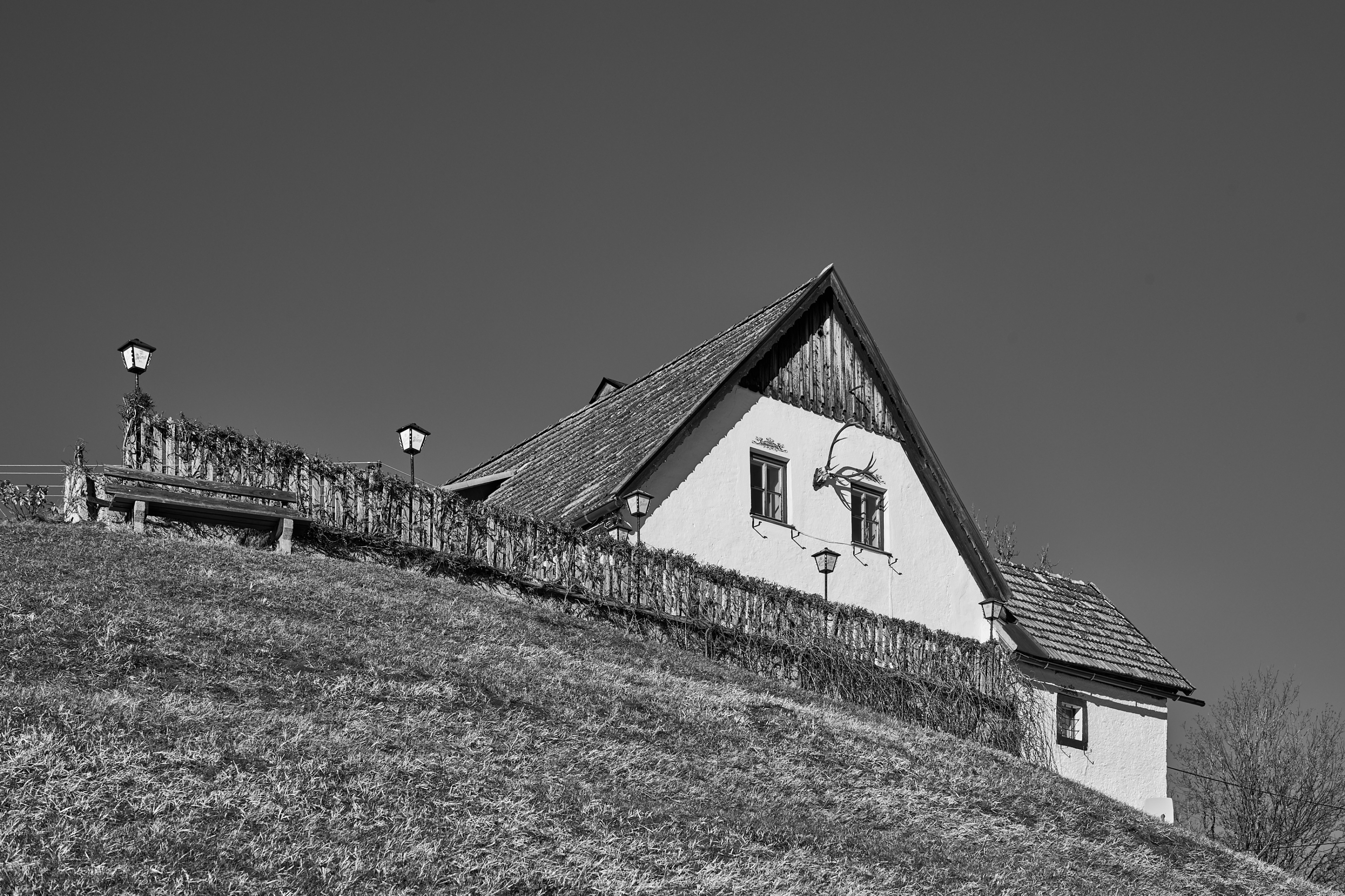 LEICA M11 Monochrom L1003386