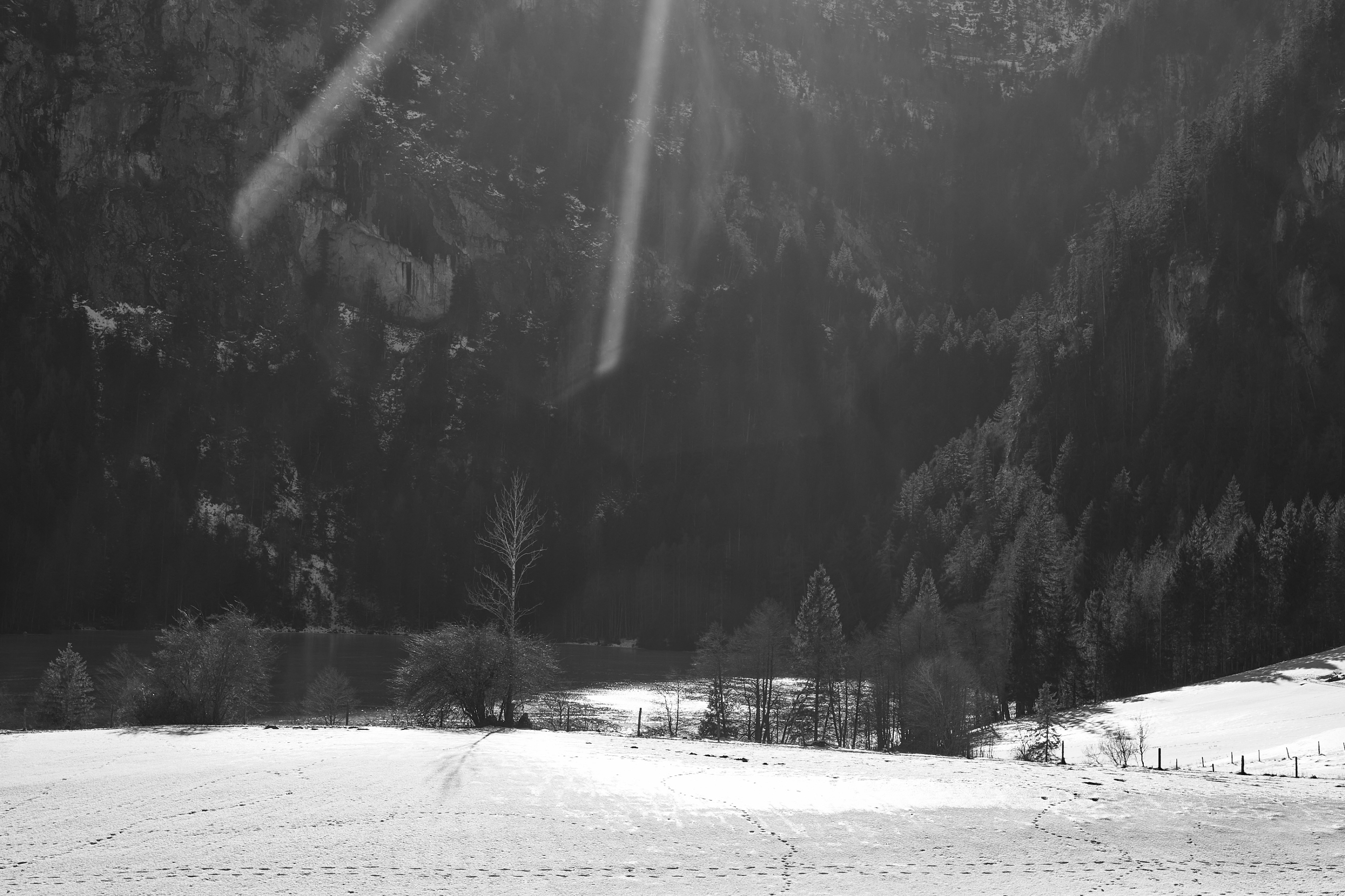 LEICA M11 Monochrom L1003389