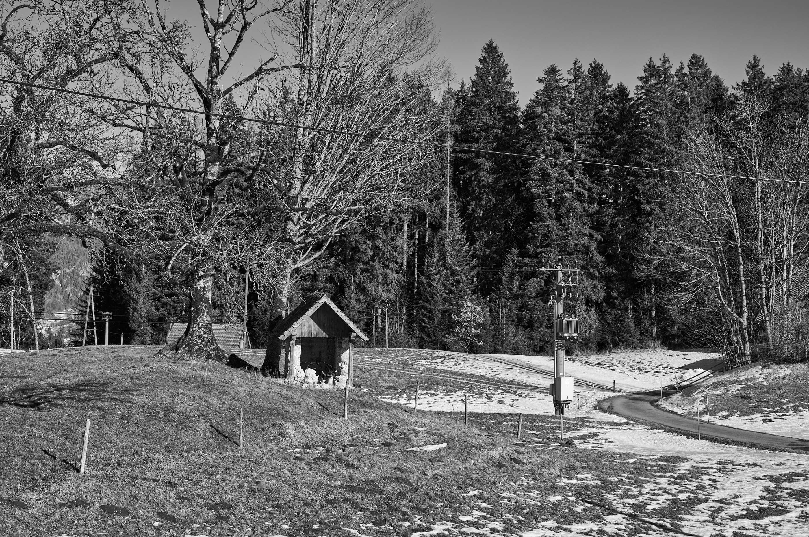 LEICA M11 Monochrom L1003390