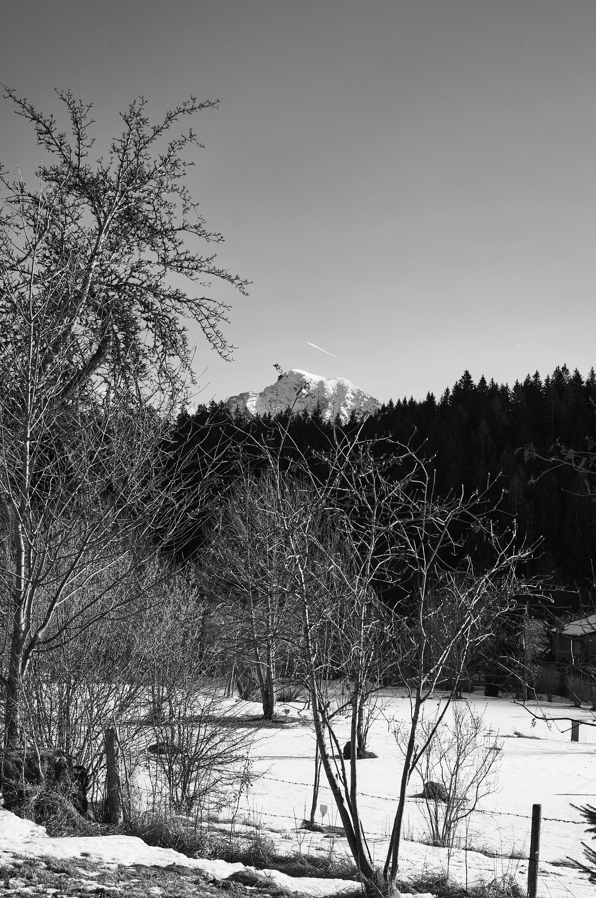 LEICA M11 Monochrom L1003394
