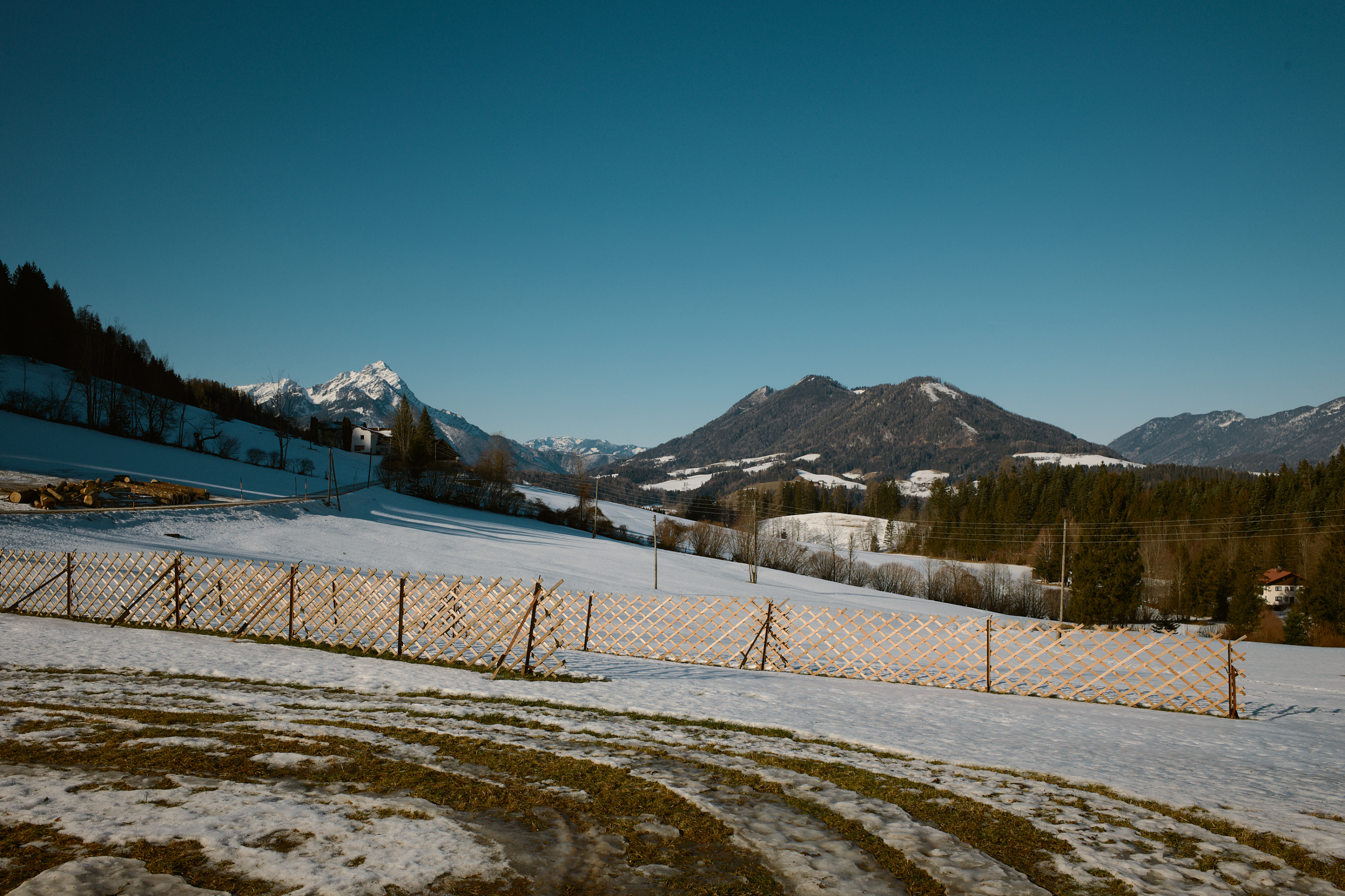 LEICA M11 P L1006378