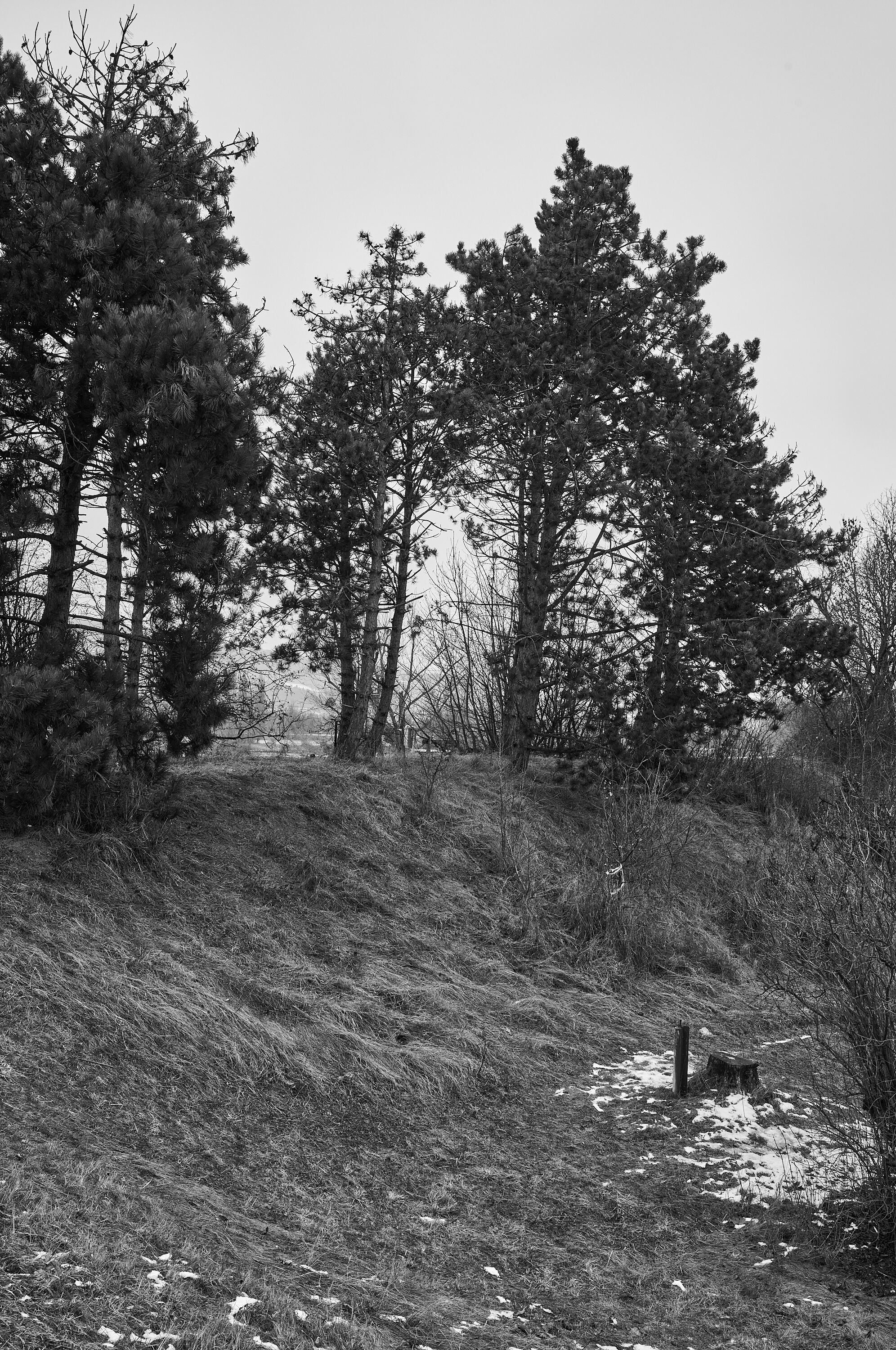 LEICA M11 Monochrom L1003406