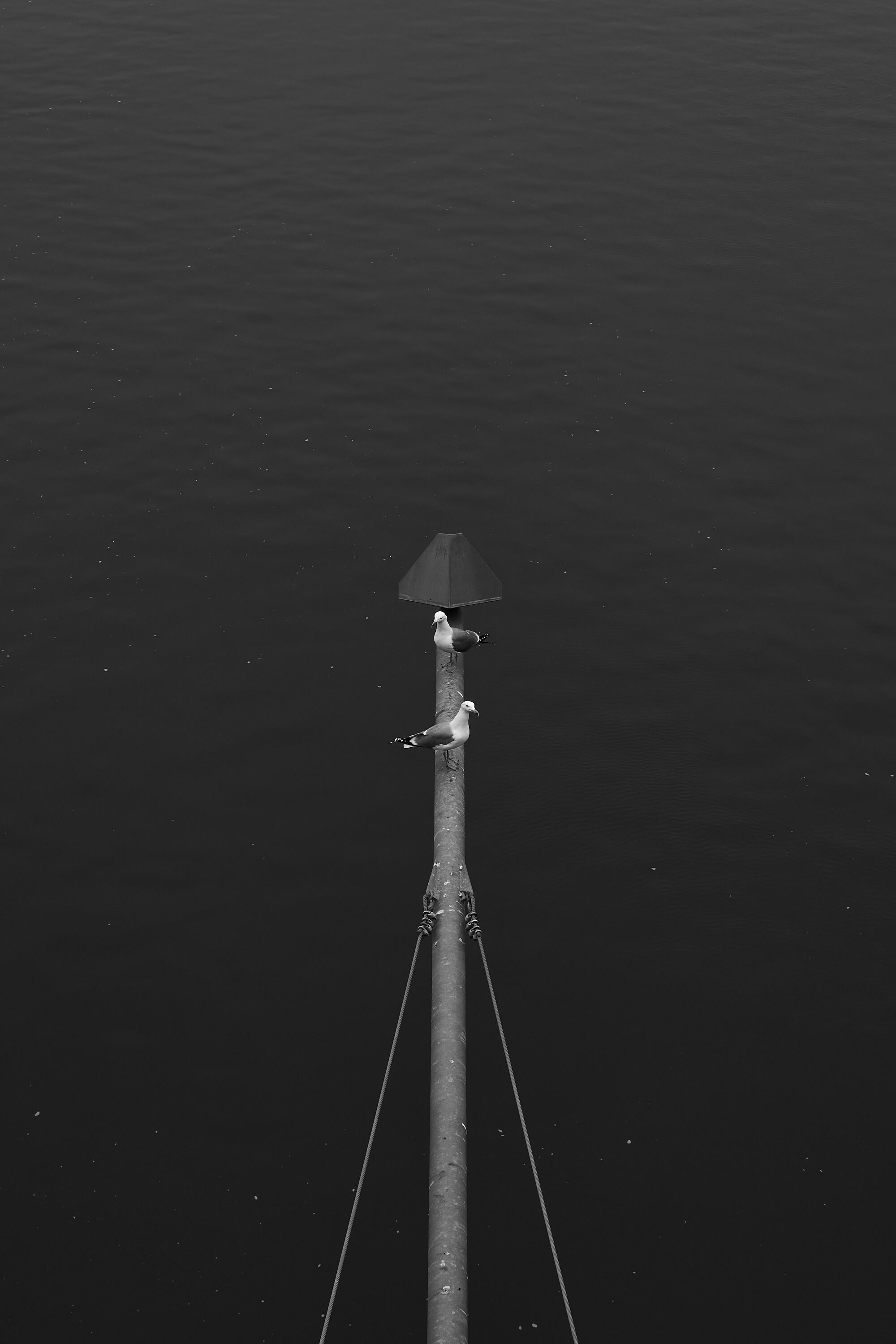 LEICA M11 Monochrom L1003417