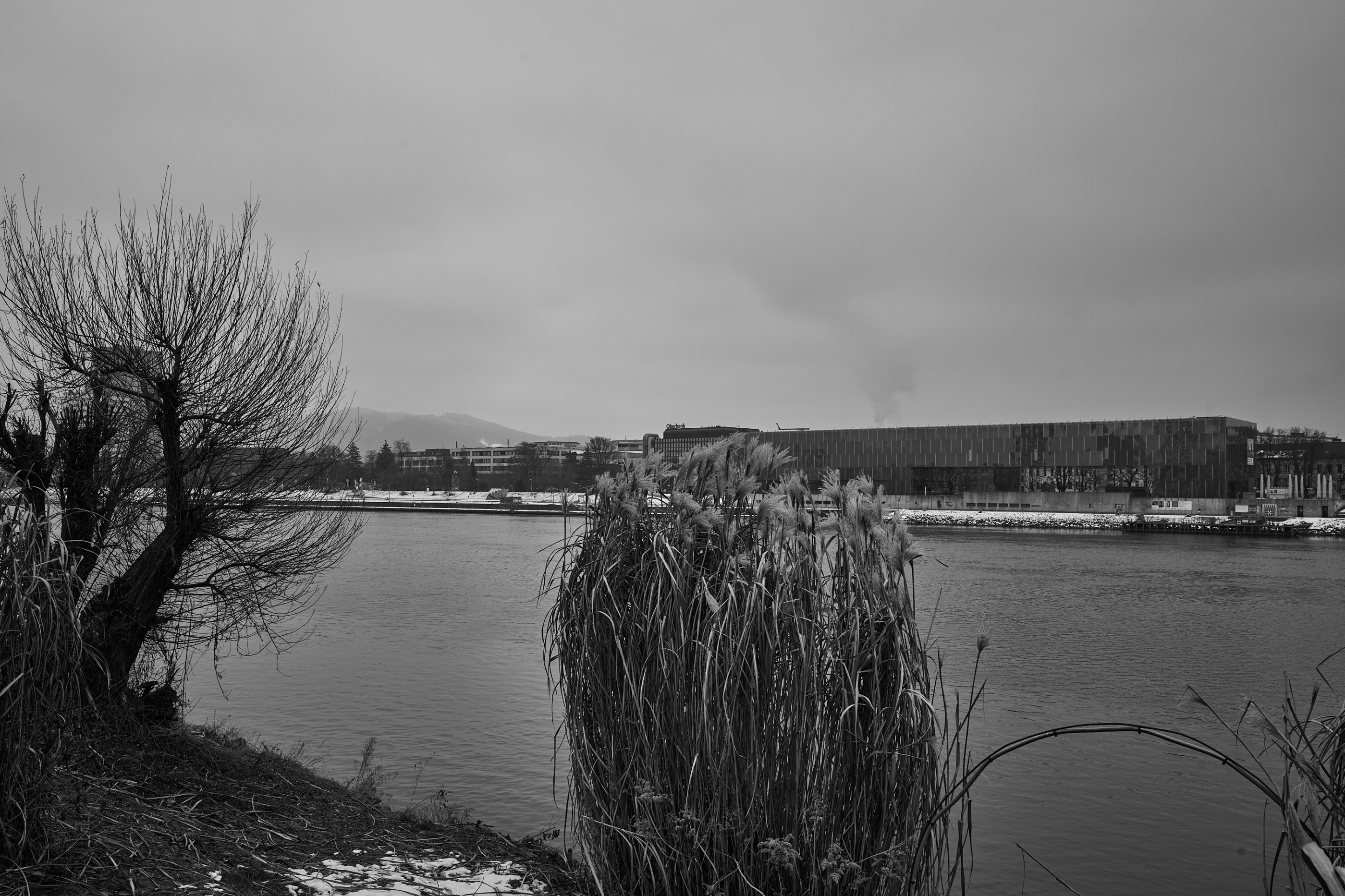 LEICA M11 Monochrom L1003428