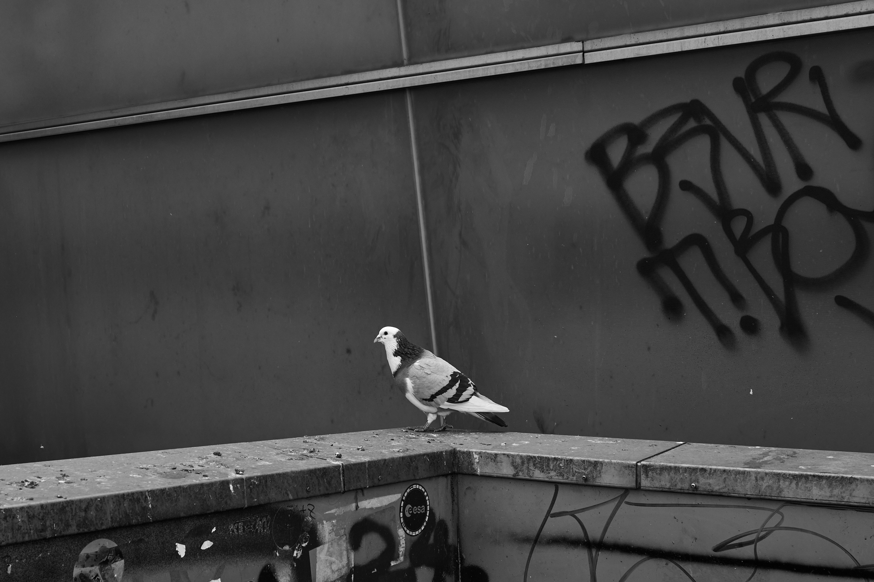 LEICA M11 Monochrom L1003429