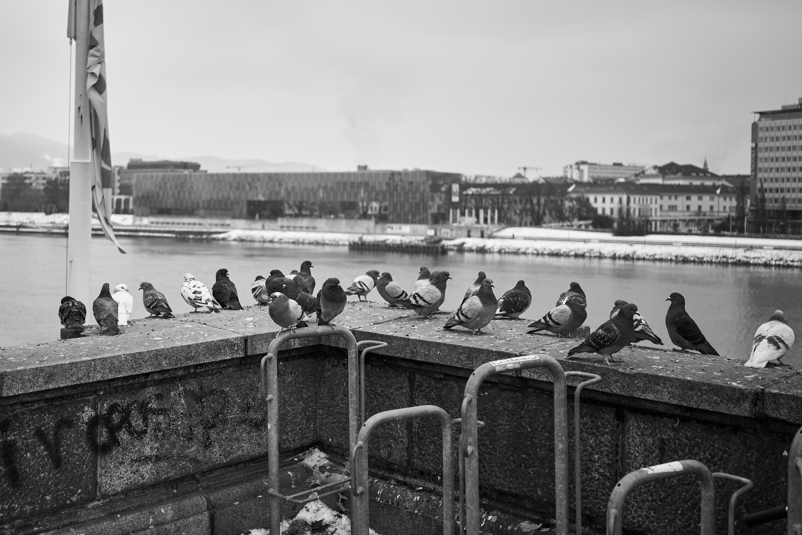 LEICA M11 Monochrom L1003430