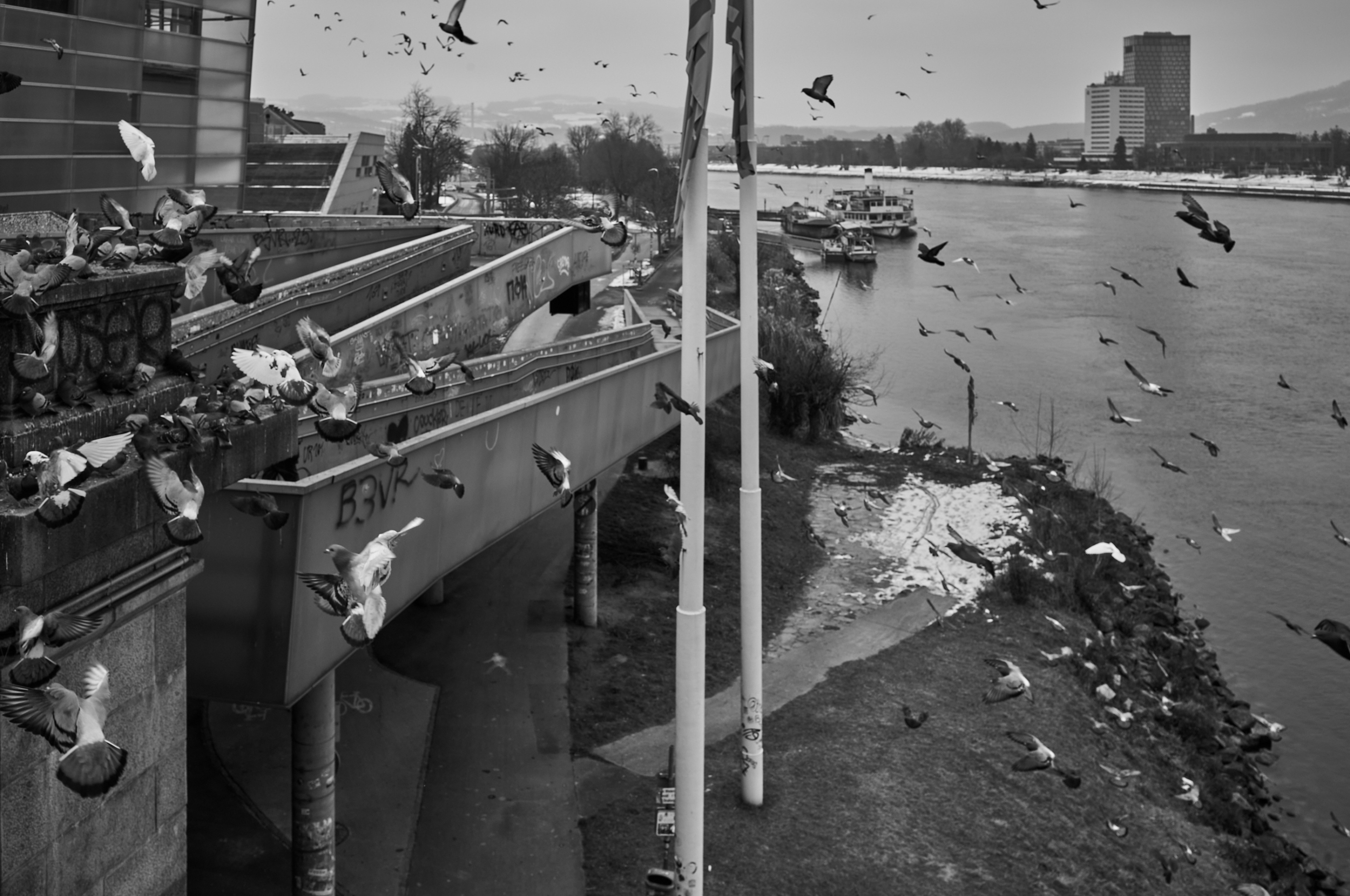 LEICA M11 Monochrom L1003434