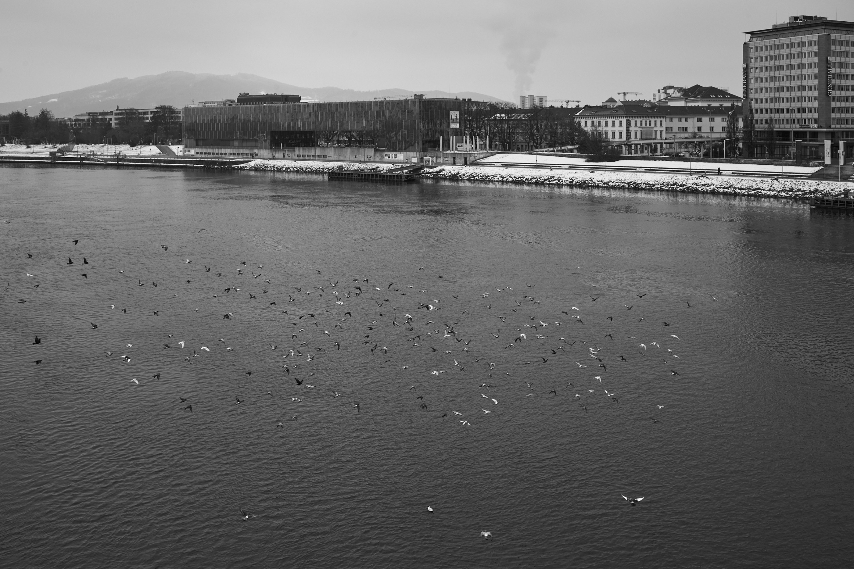LEICA M11 Monochrom L1003438
