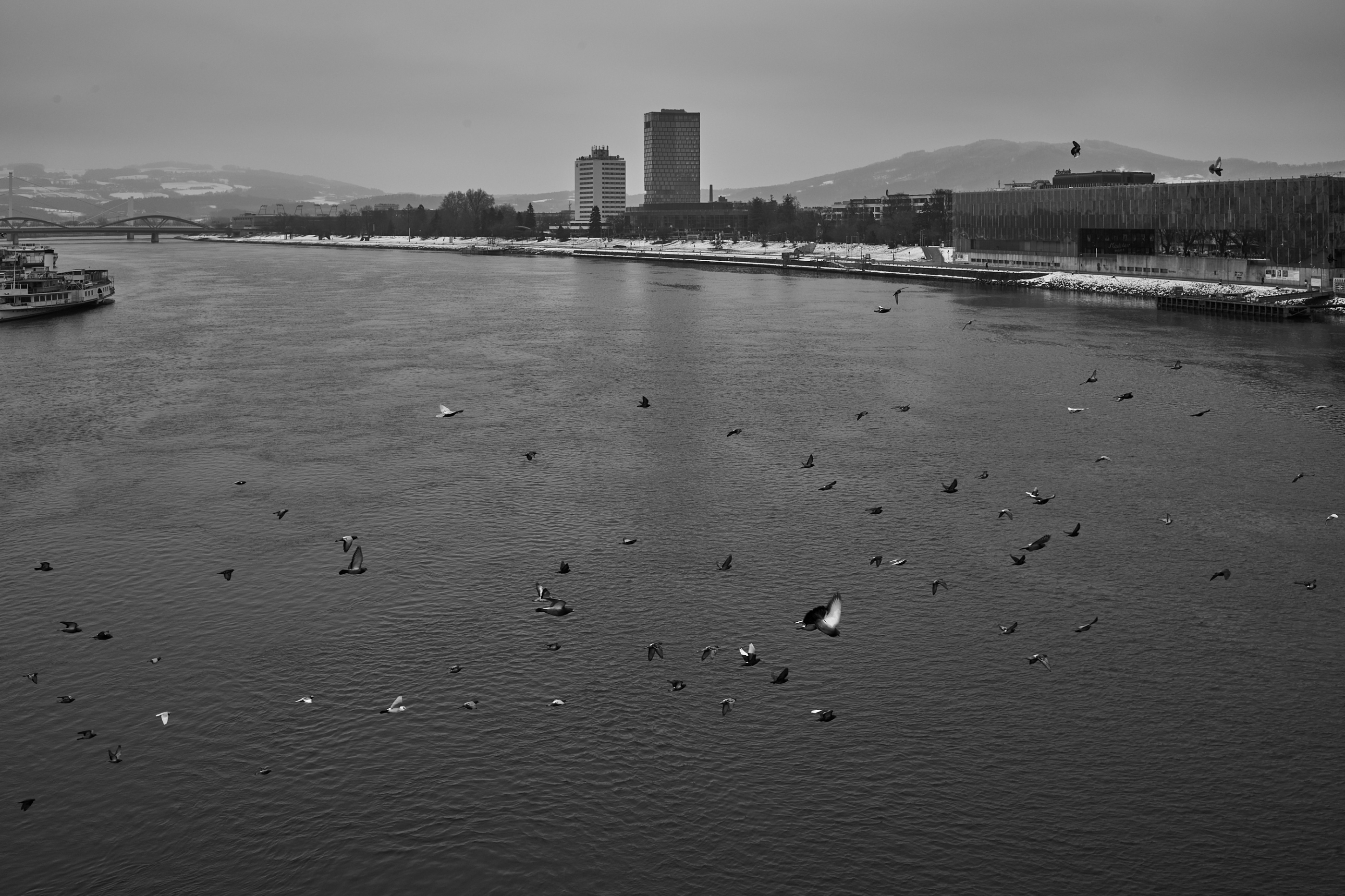 LEICA M11 Monochrom L1003442