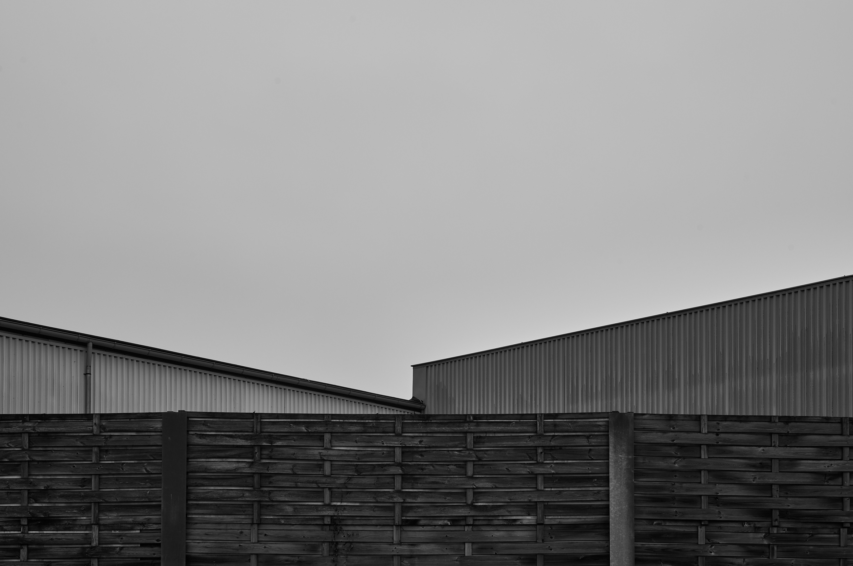 LEICA M11 Monochrom L1003537