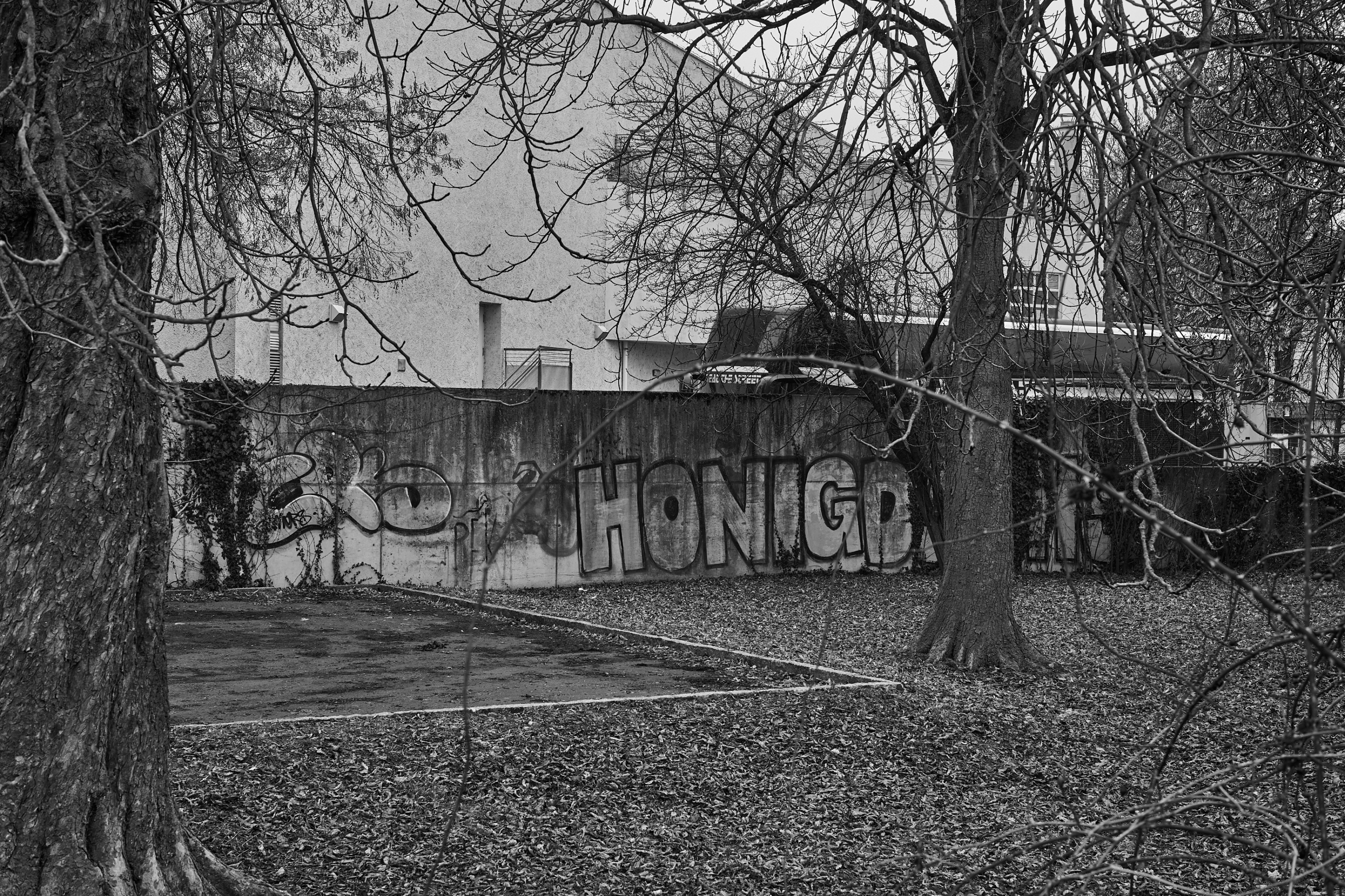 LEICA M11 Monochrom L1003553