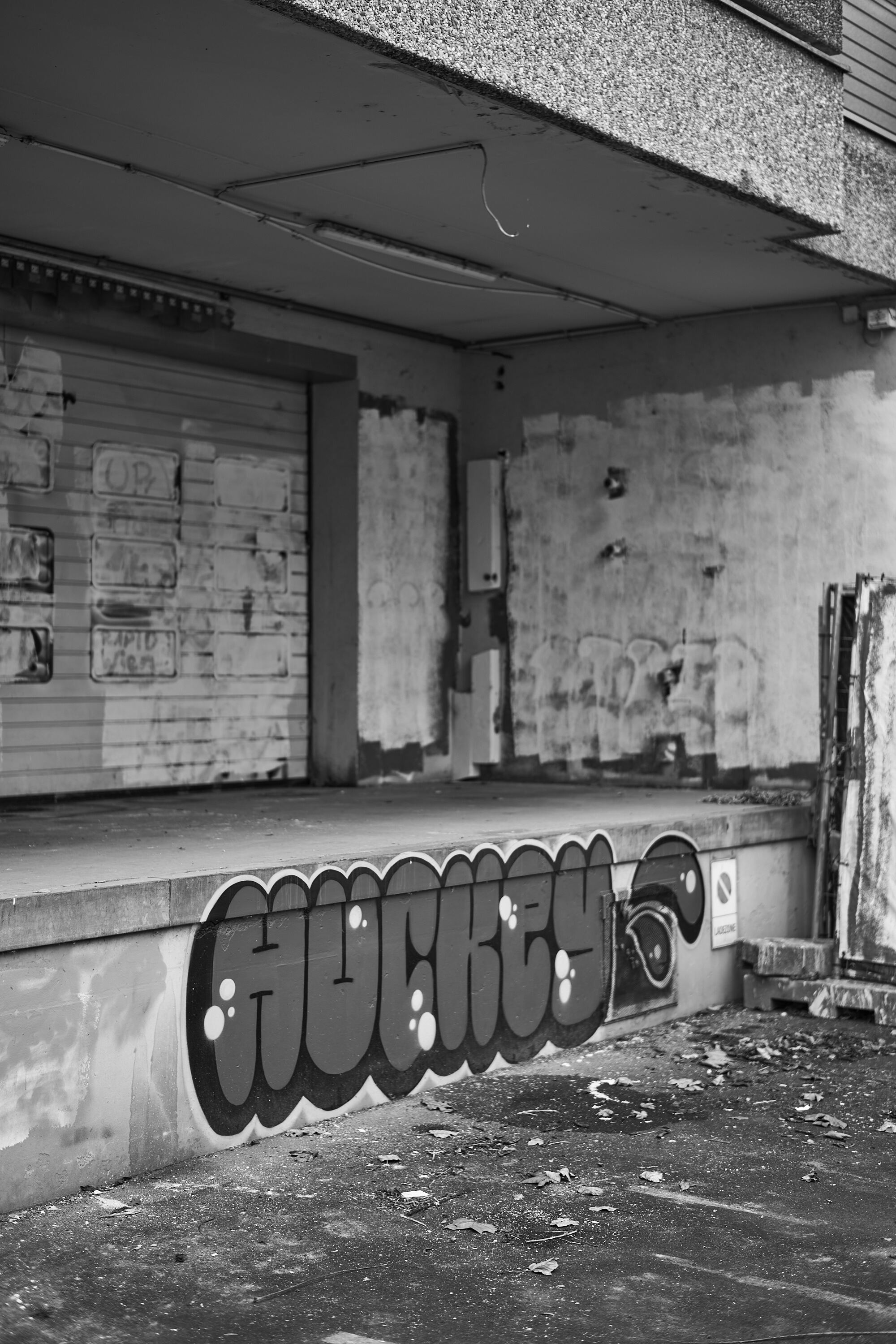 LEICA M11 Monochrom L1003559
