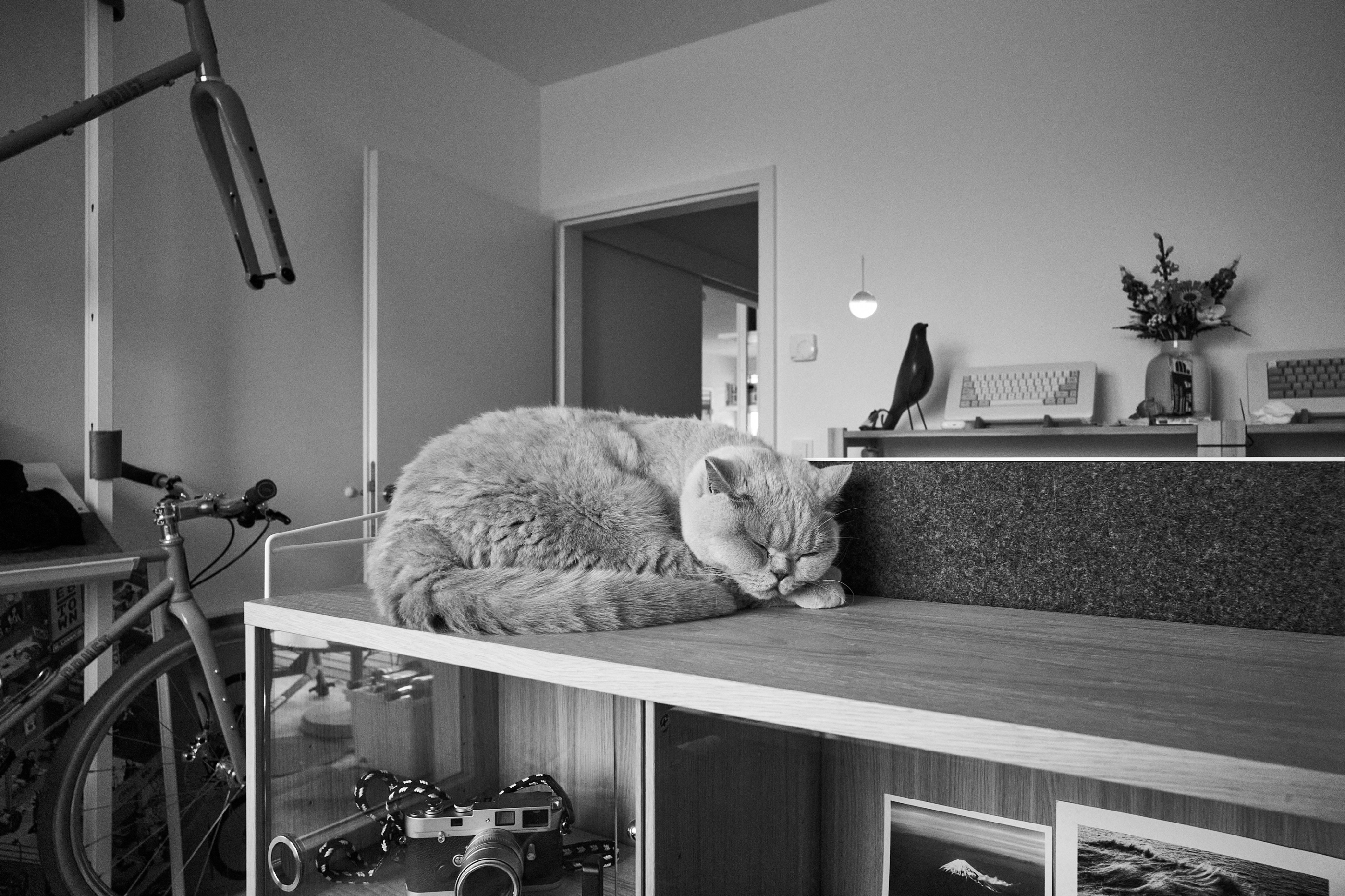 LEICA M11 Monochrom L1003588