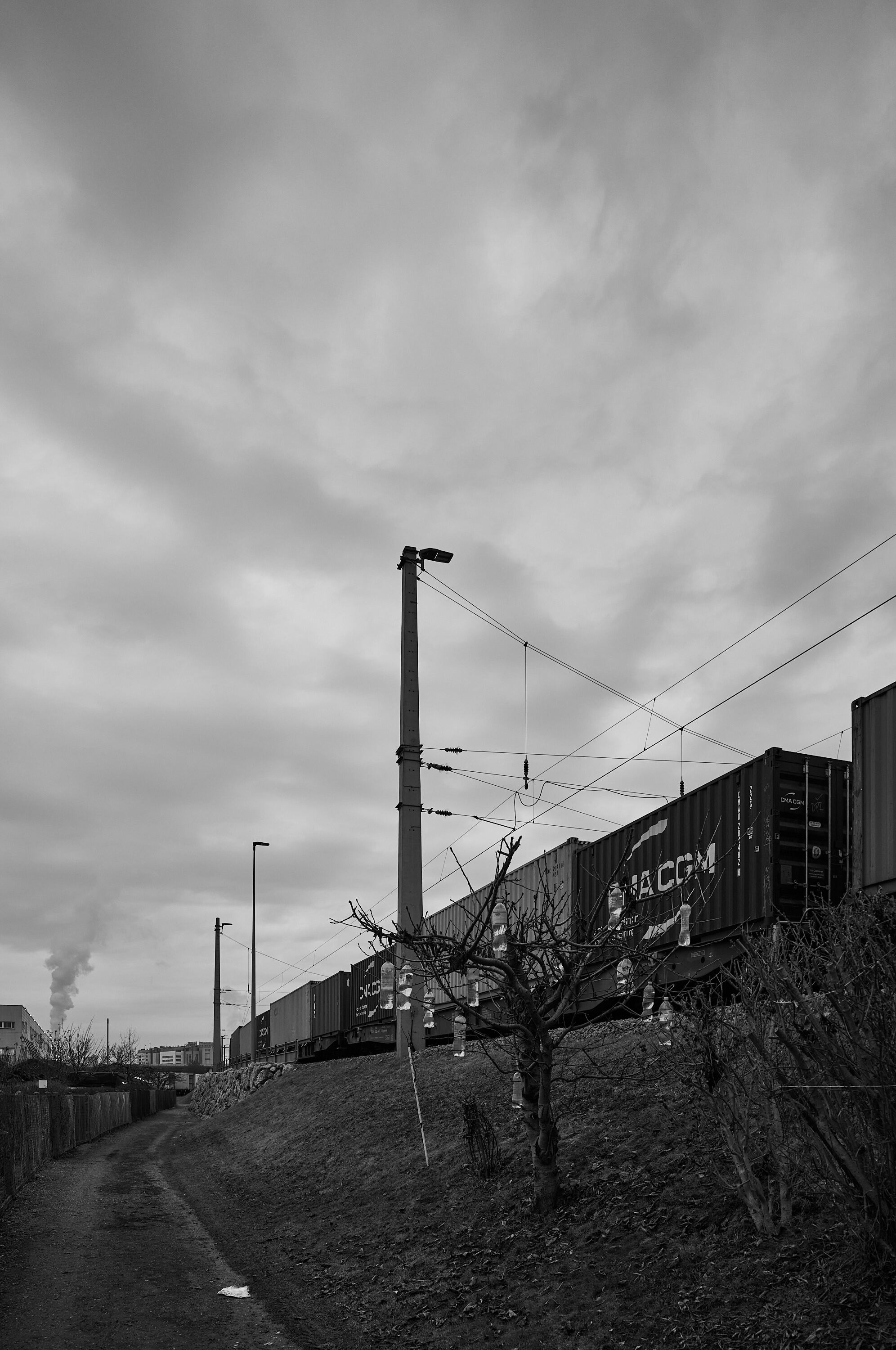LEICA M11 Monochrom L1003612