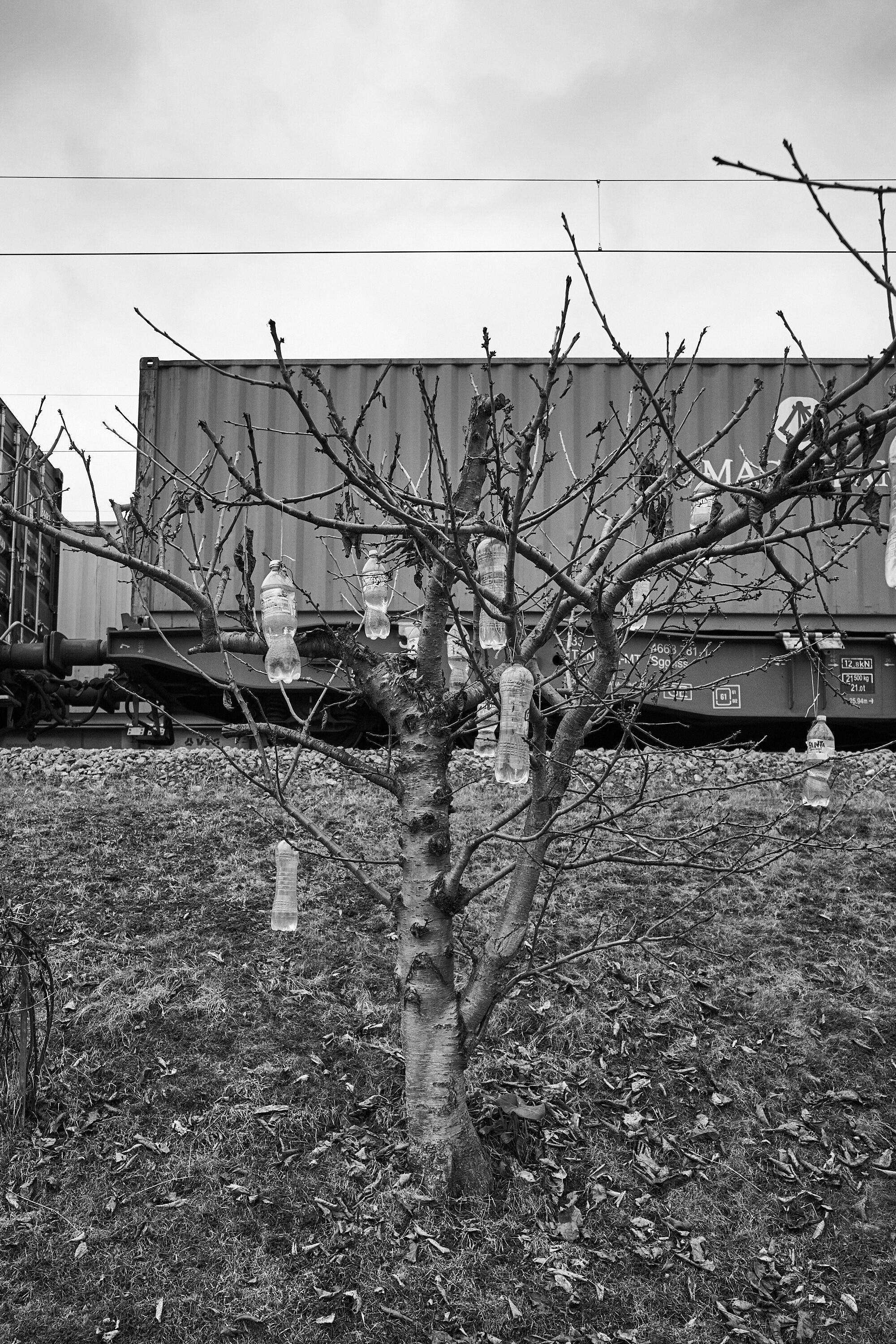 LEICA M11 Monochrom L1003613