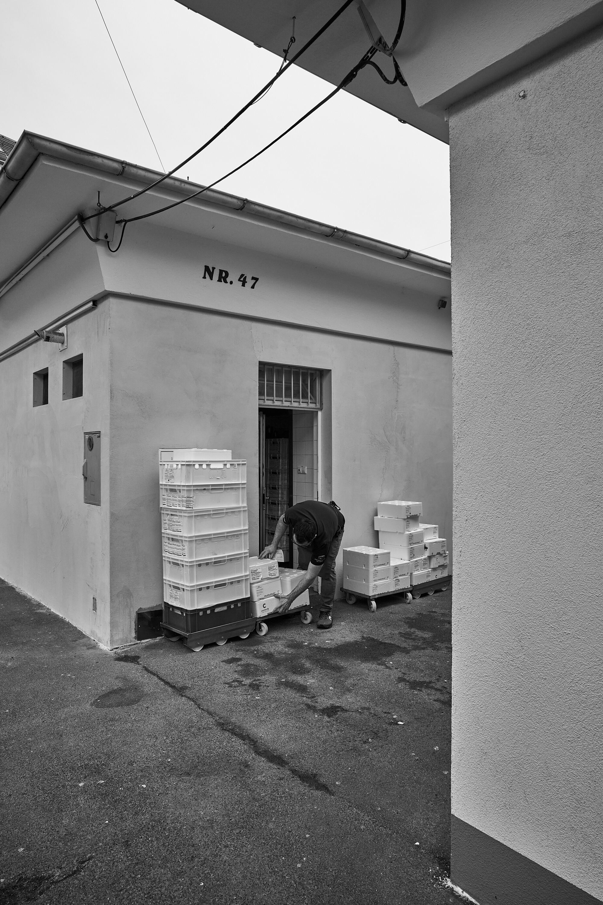 LEICA M11 Monochrom L1003743