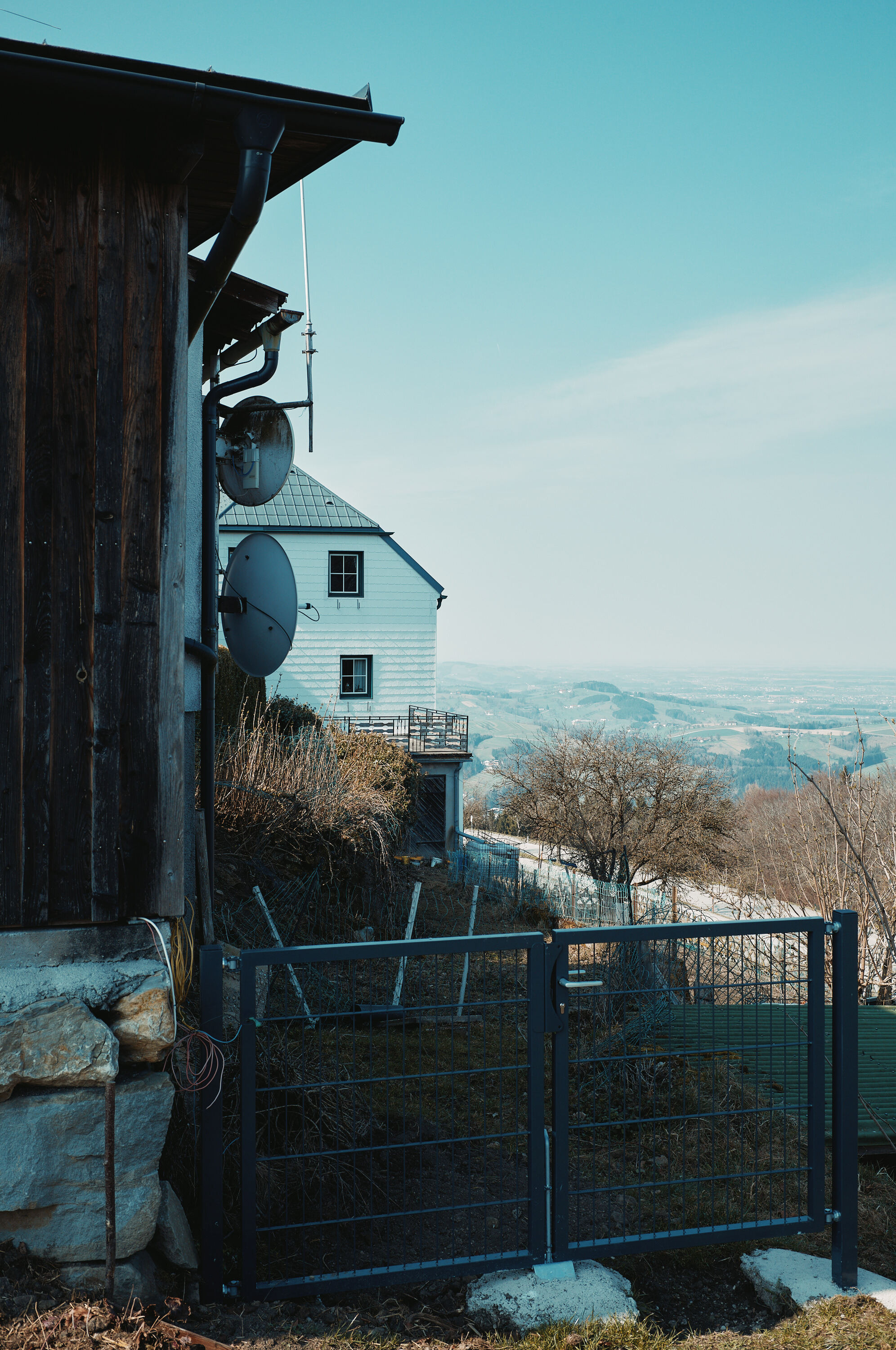 LEICA M11 P L1006592