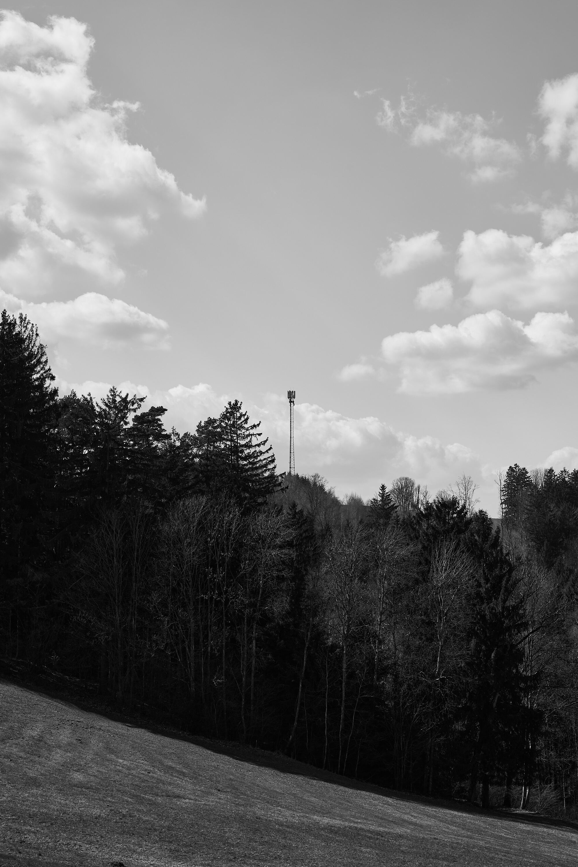 LEICA M11 Monochrom L1003875