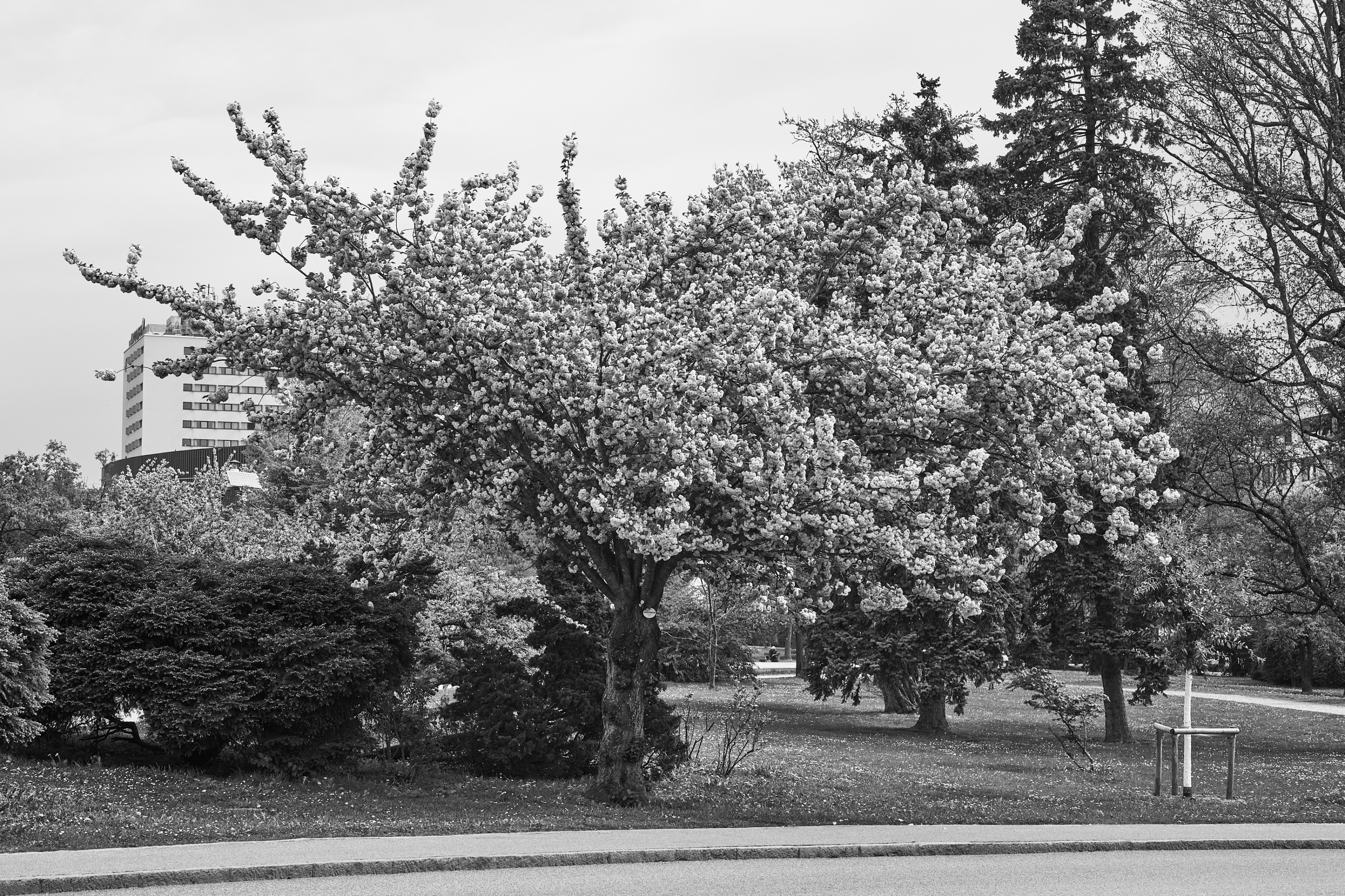 LEICA M11 Monochrom L1003953