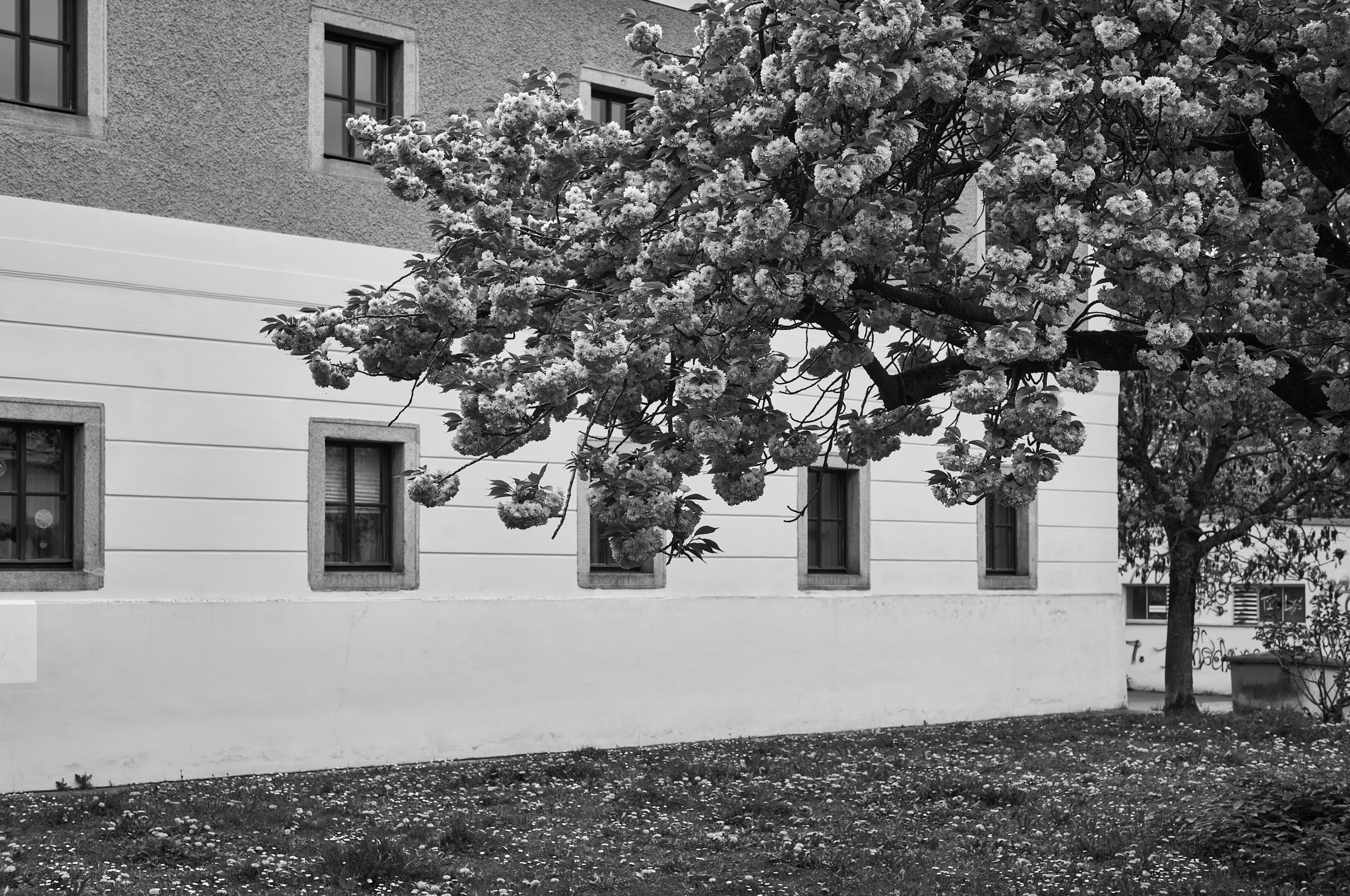 LEICA M11 Monochrom L1003990
