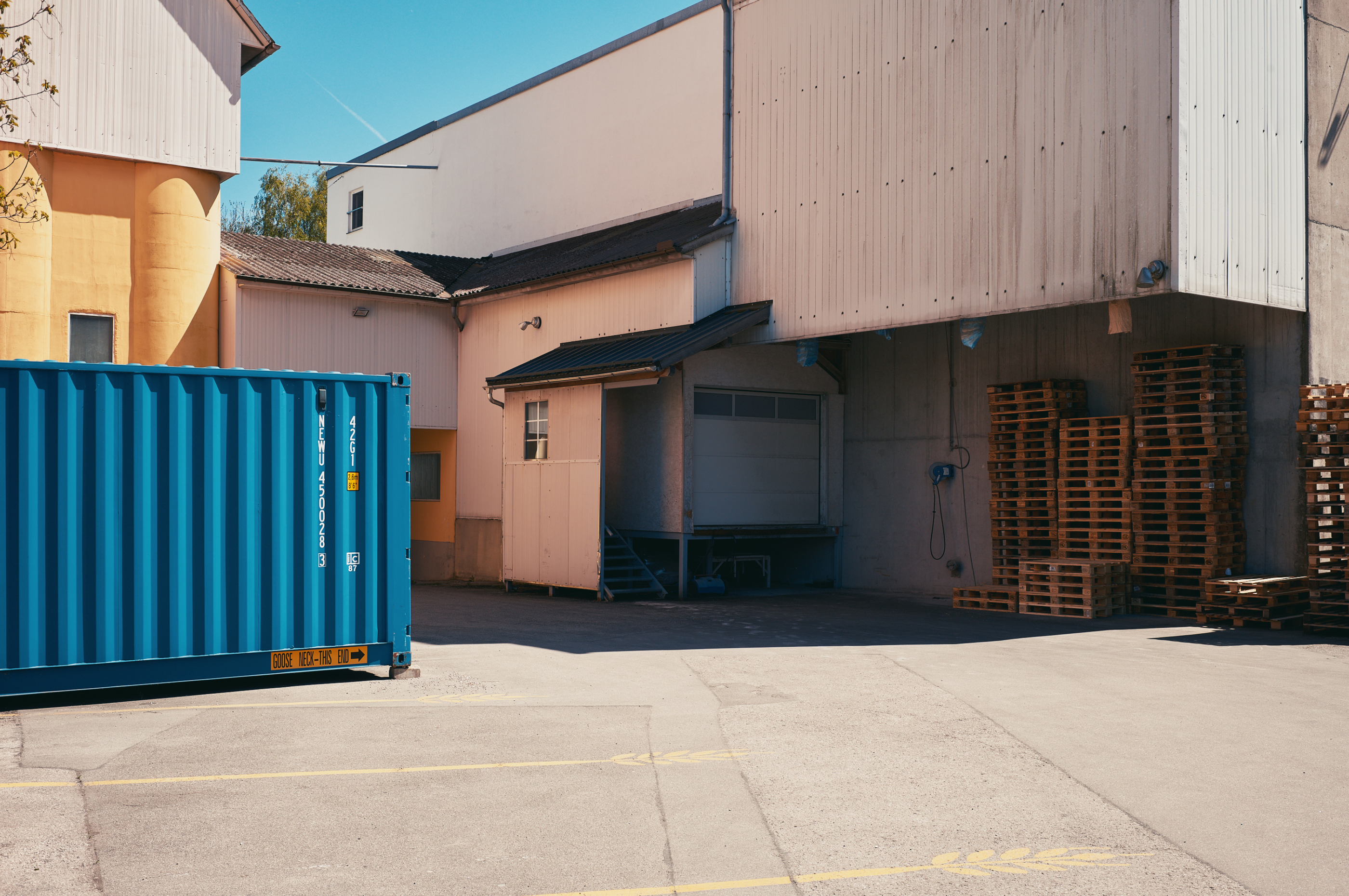 LEICA M11 P L1006806