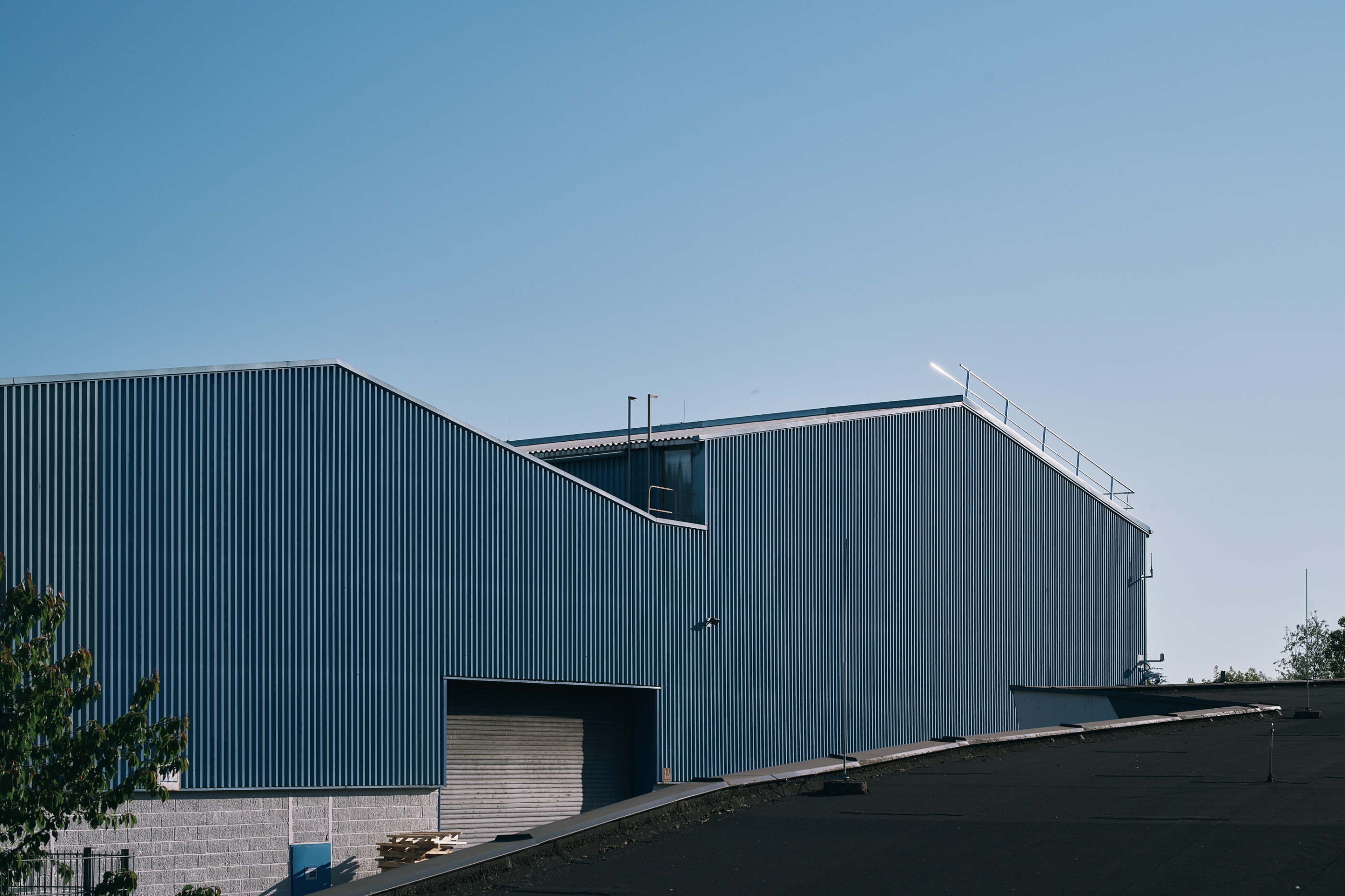 LEICA M11 P L1006905