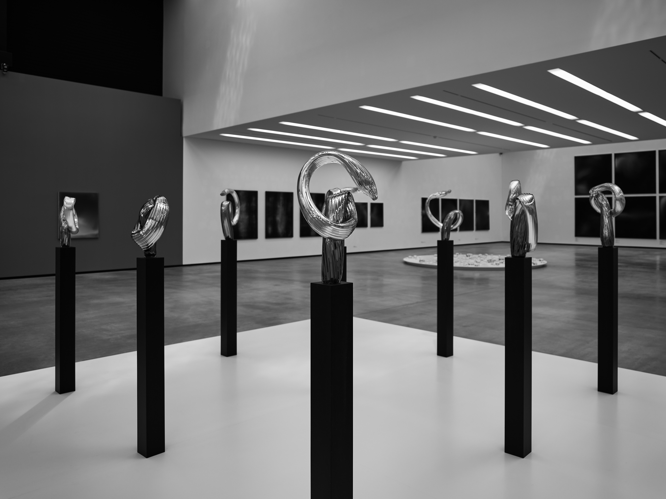 LEICA M11 Monochrom L1004038