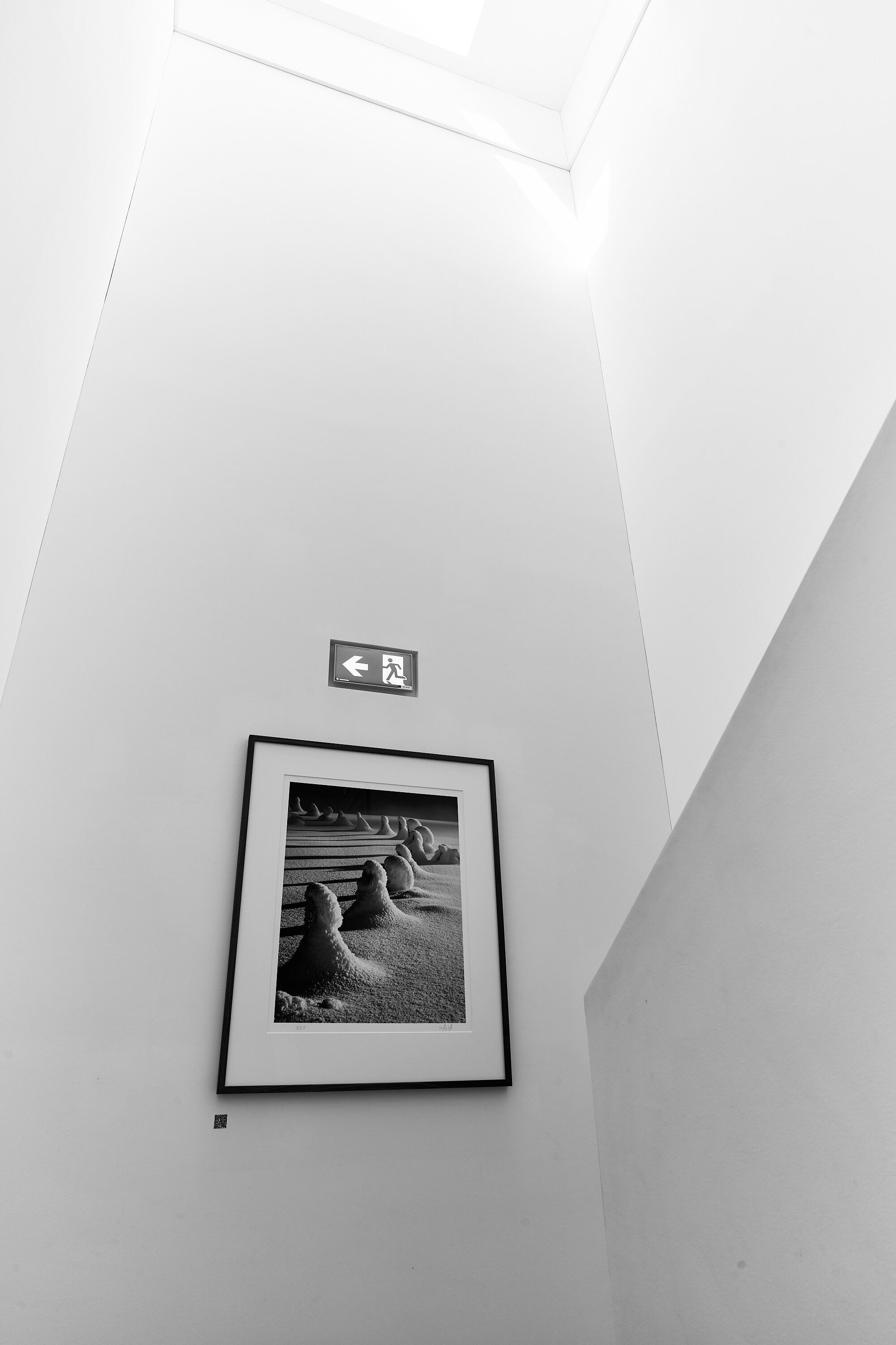 LEICA M11 Monochrom L1004059
